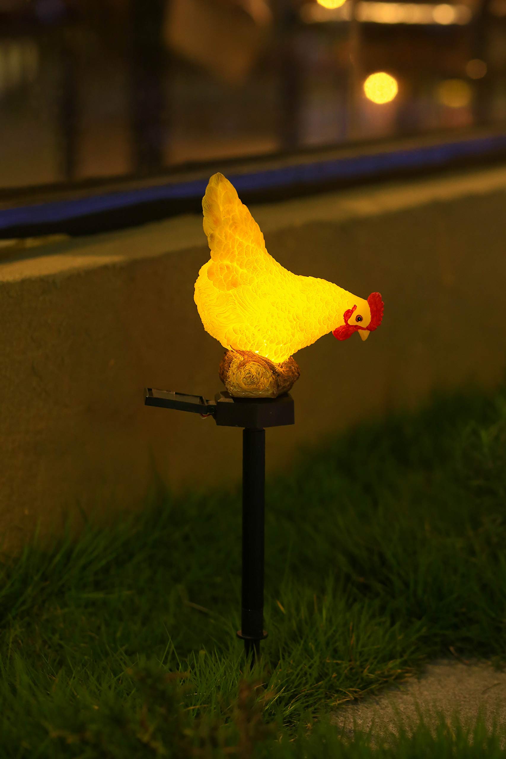 CHUANGFENG Outdoor Chicken Solar Lights, Resin Garden Decor, Cute Chicken Gifts for Patio, Mother's Day, Model CF-JASON-2011112