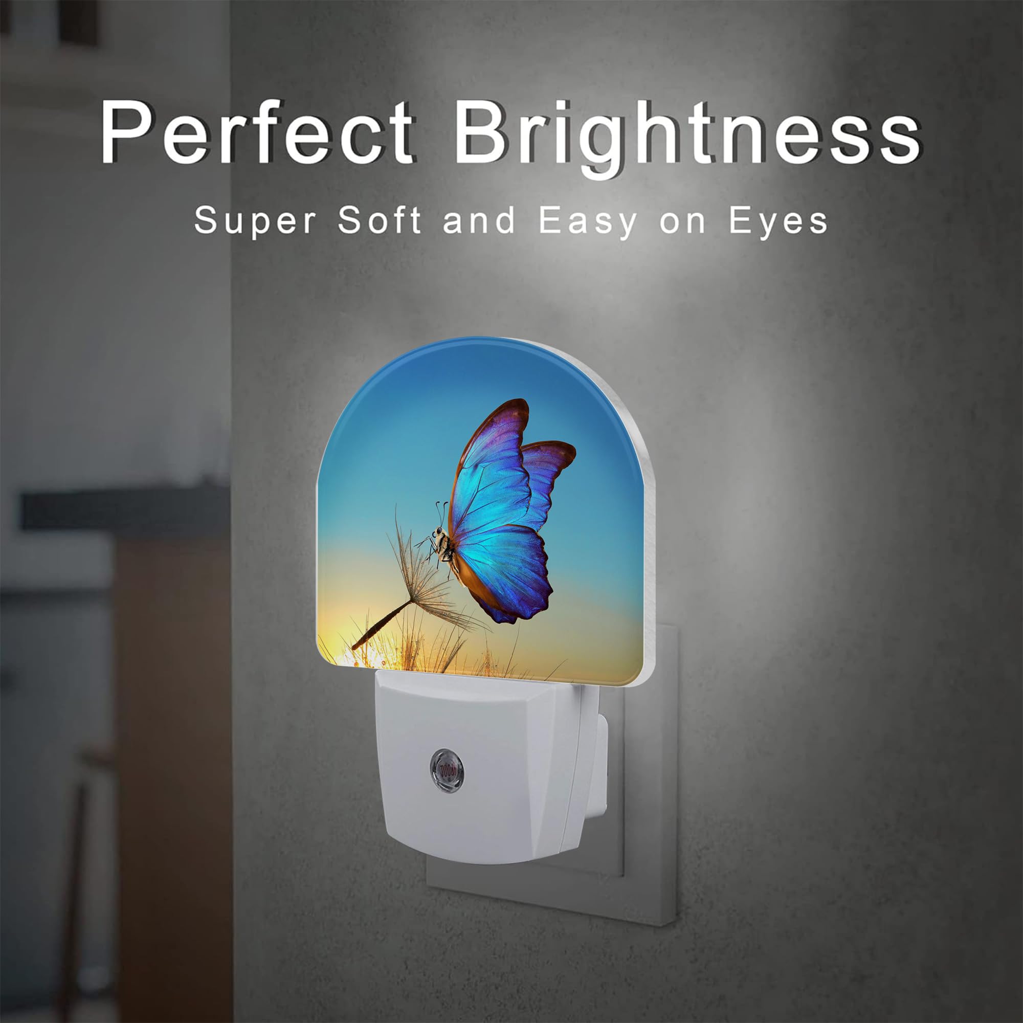 Sndheke Blue Butterfly And Dandelion Night Light Plug Into Wall, Butterfly In The Sunset Dusk To Dawn Night Light,0.5W Energy Sa
