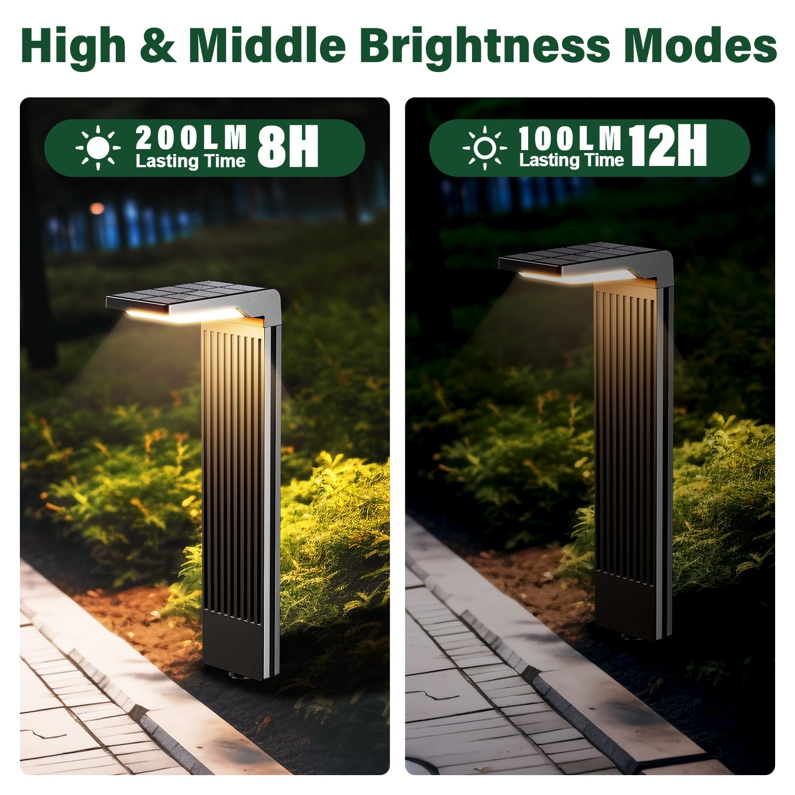 COXSENI Solar Pathway Lights 6Pack, 60LED Waterproof Outdoor Landscape Lighting, Black, Model MOM-030