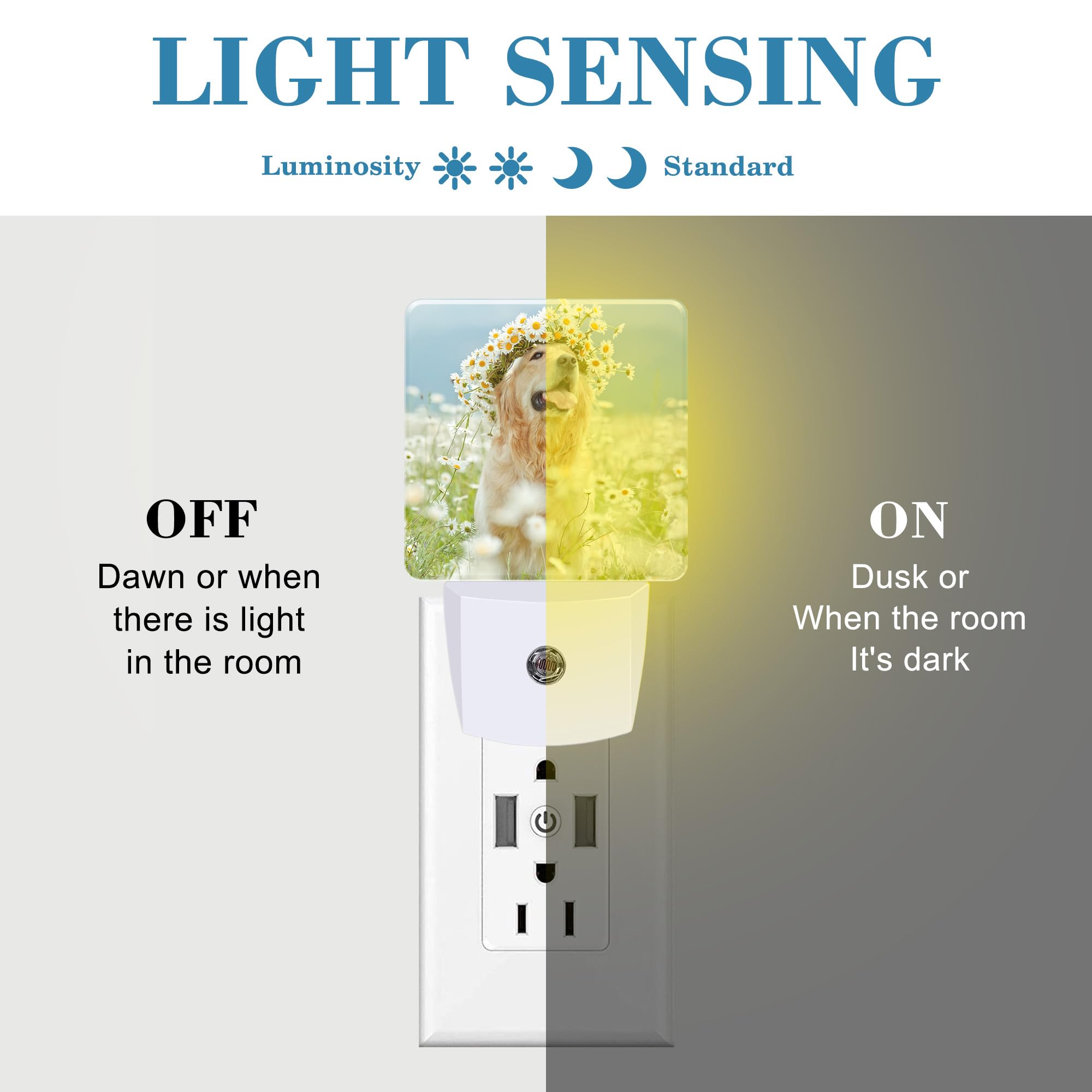 Uiaoiais Plug In Night Lights Golden Retriever With Daisy Wreath Night Light With Dusk To Dawn Sensor Night Light For Kid Girls