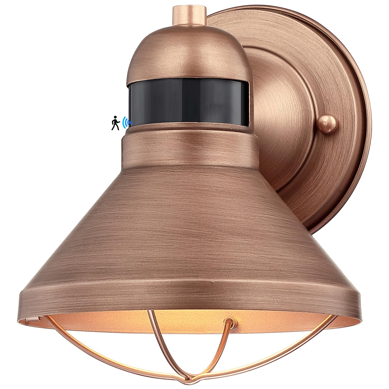 LONEDRUID Motion Sensor Outdoor LED Barn Light Dusk to Dawn Exterior Wall Lantern Waterproof Outside Sconce Lighting Fixtures Fa