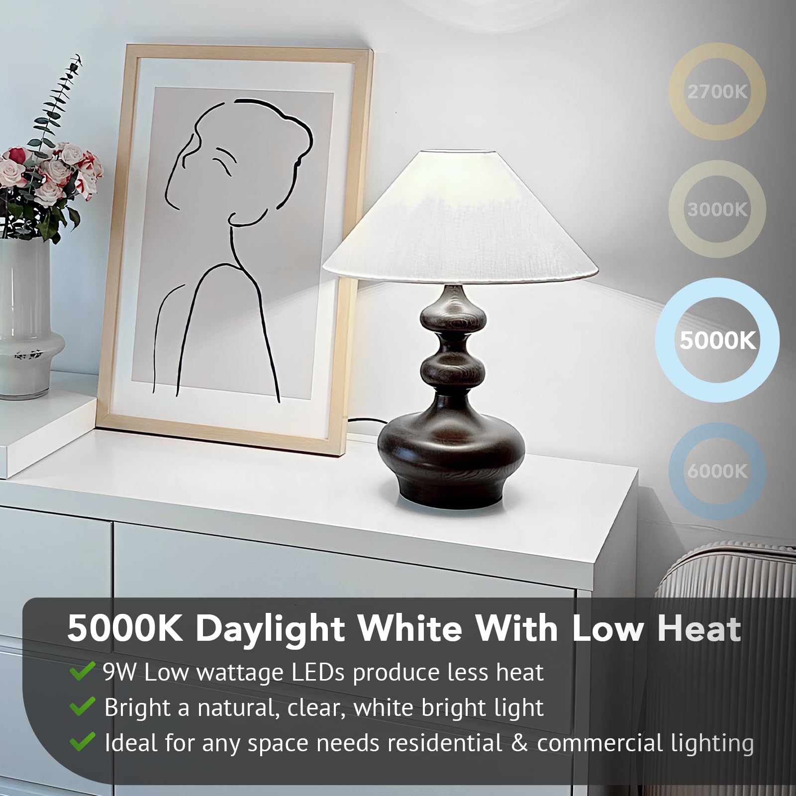 Maylaywood 24-Pack A19 Led Light Bulbs, 60W Equivalent, Daylight White 5000K, E26 Base, 850 Lumen, Non-Dimmable, 9W Bright White