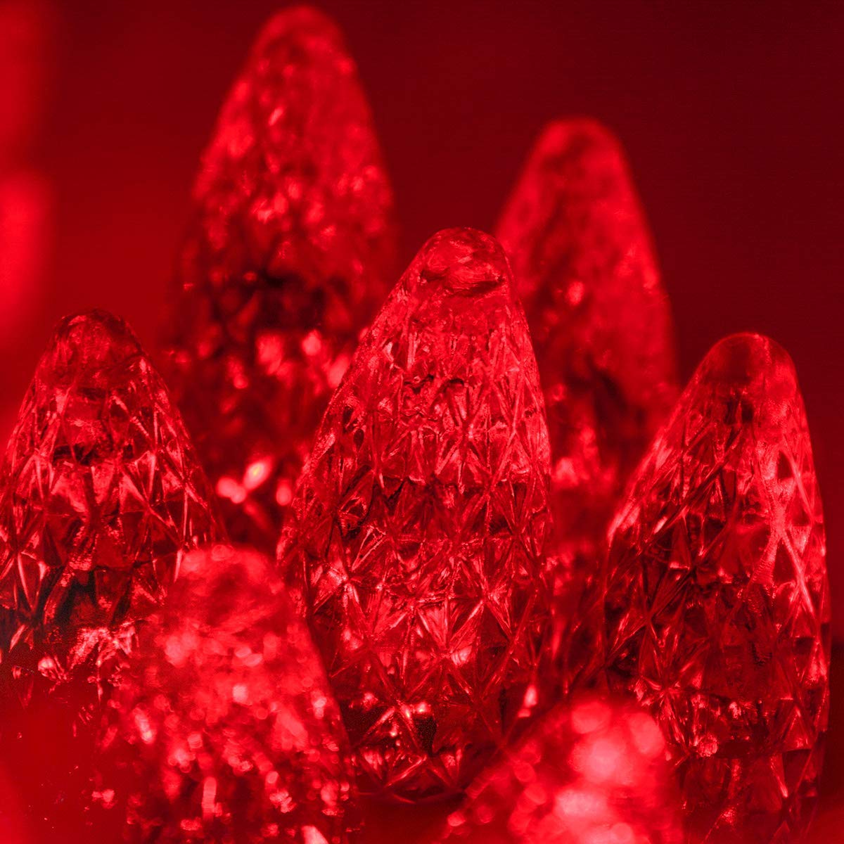 Wintergreen Lighting C6 Red LED String Lights, 24 Ft, Indoor-Outdoor, Acrylic, Model IOS-1-35-2