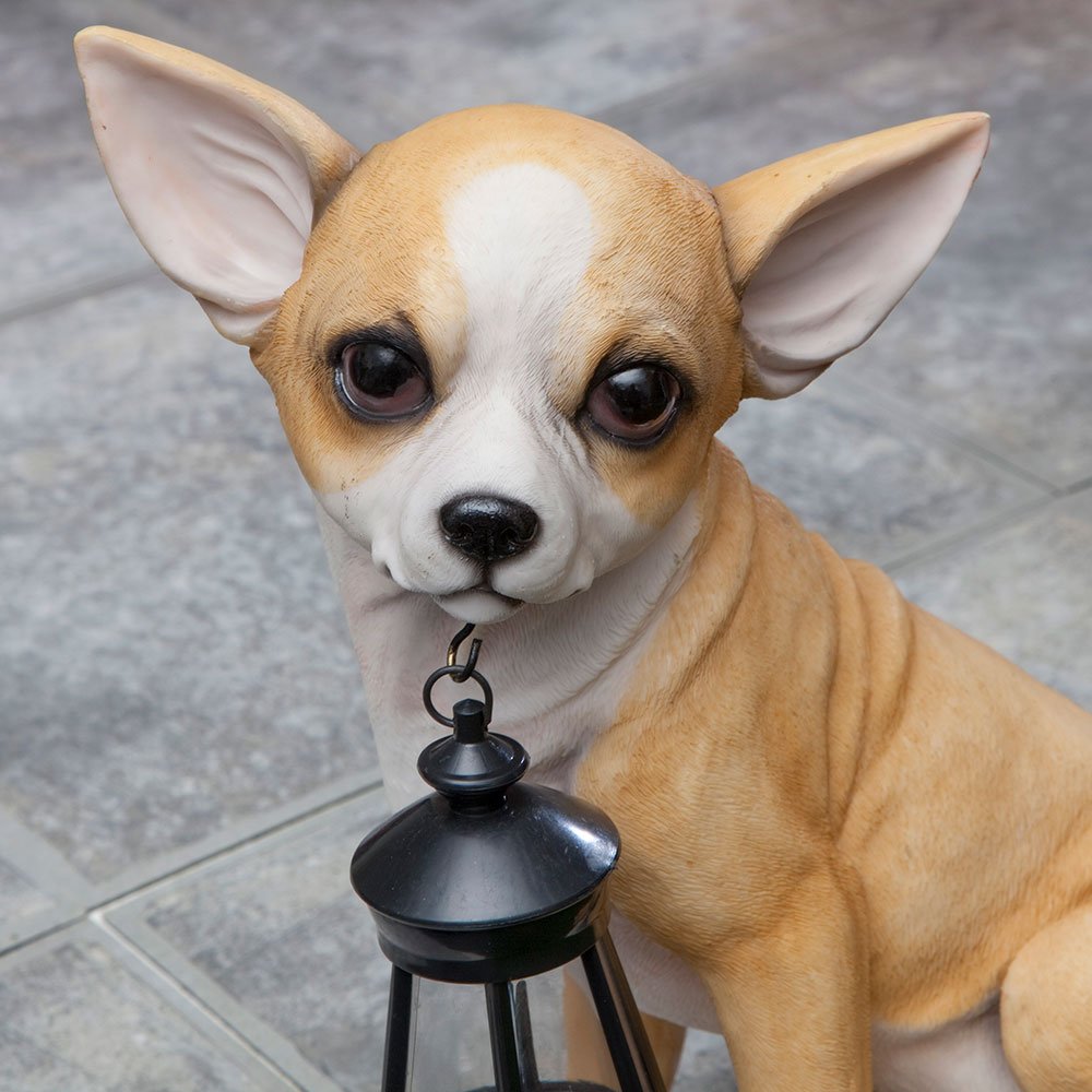Bits and Pieces Chihuahua Solar Lantern Statue, Polyresin, LED Light, Outdoor Décor, White/Brown, Model 41121