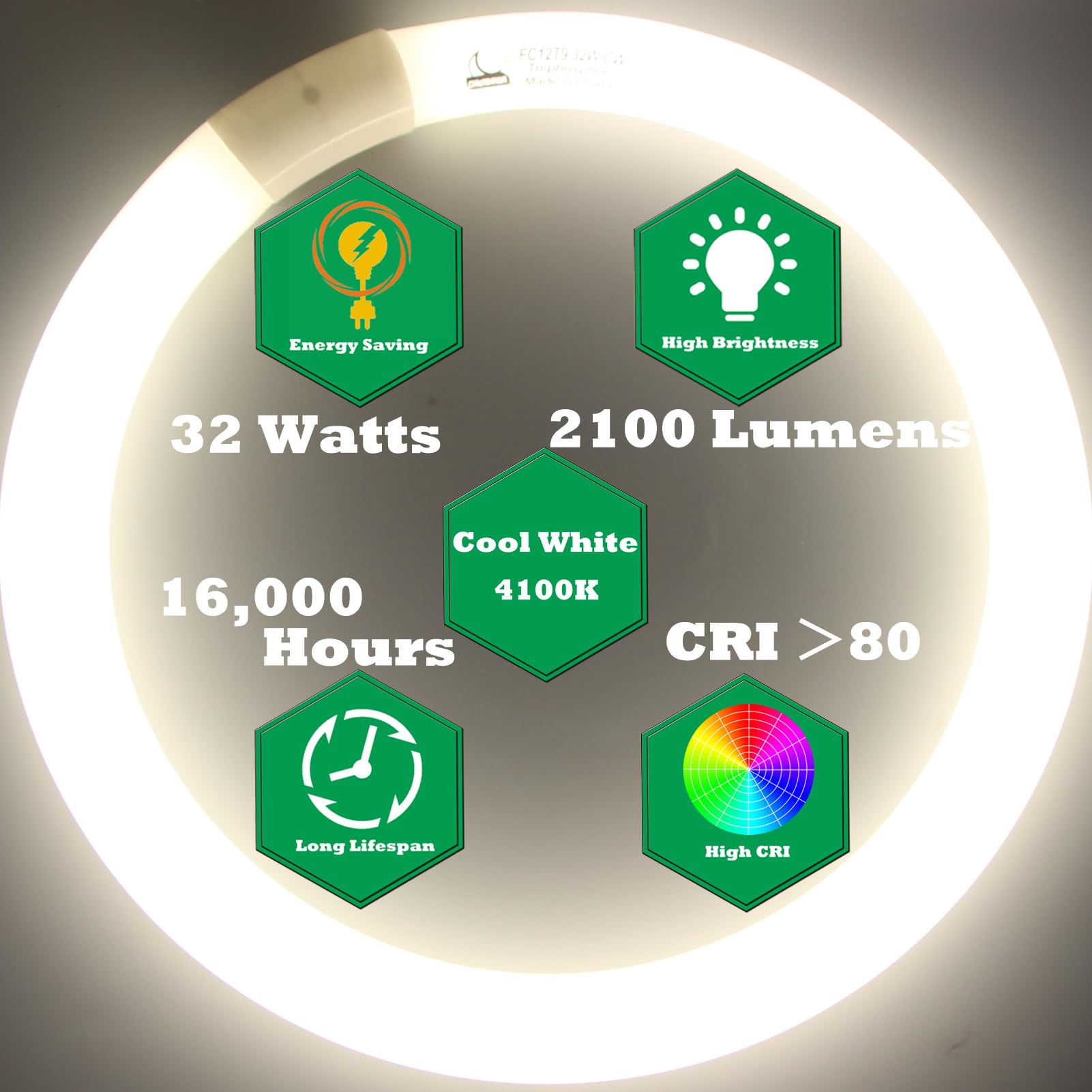 CHKADAWA Round Fluorescent Light Bulb Set - 32W 12" & 40W 16" Cool White, G10q 4 Pin Prong, Glass, 410