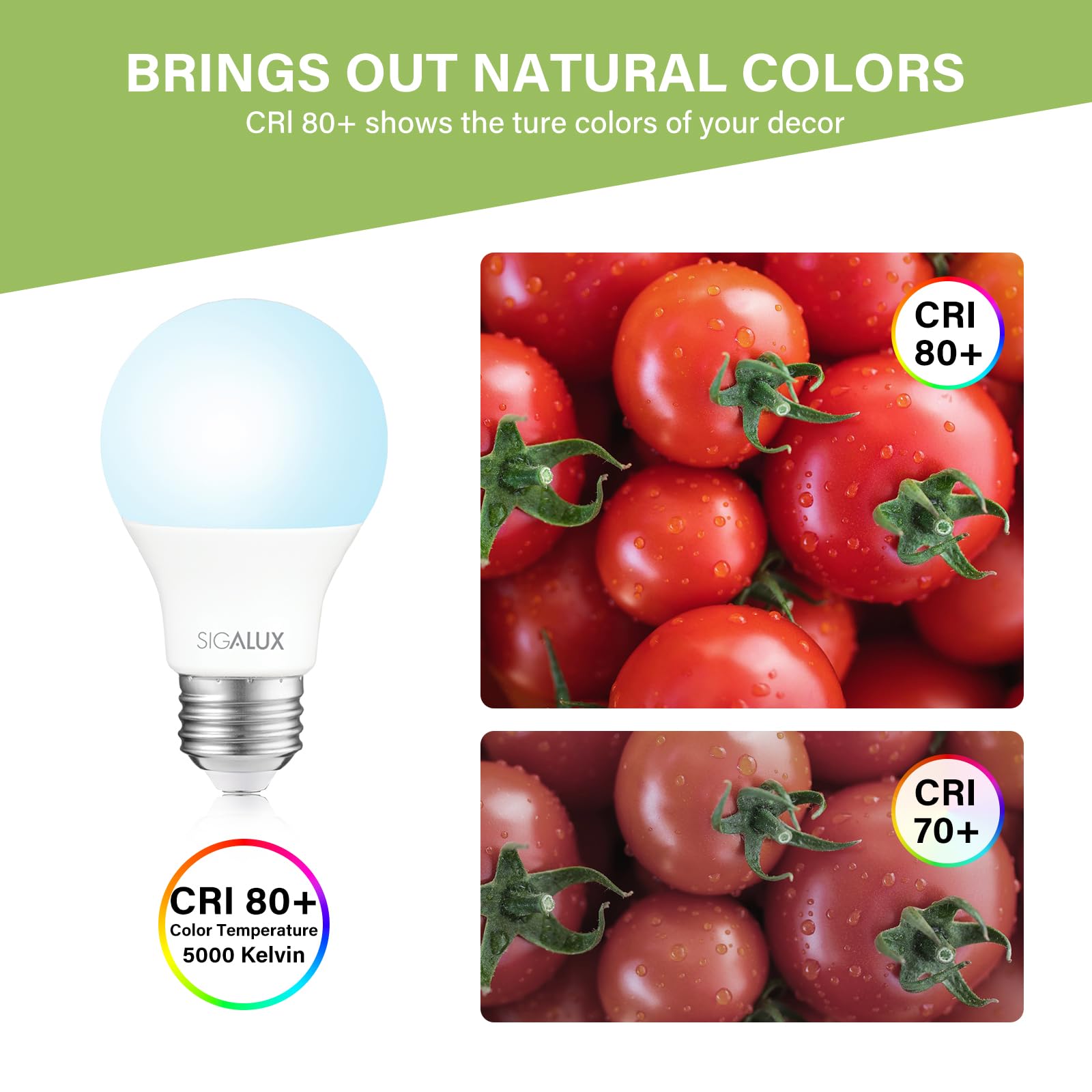 Sigalux Light Bulbs 100 Watt Equivalent,A19 Daylight Standard Led Bulbs Non-Dimmable 5000K White,High Luminous Efficiency 10W En