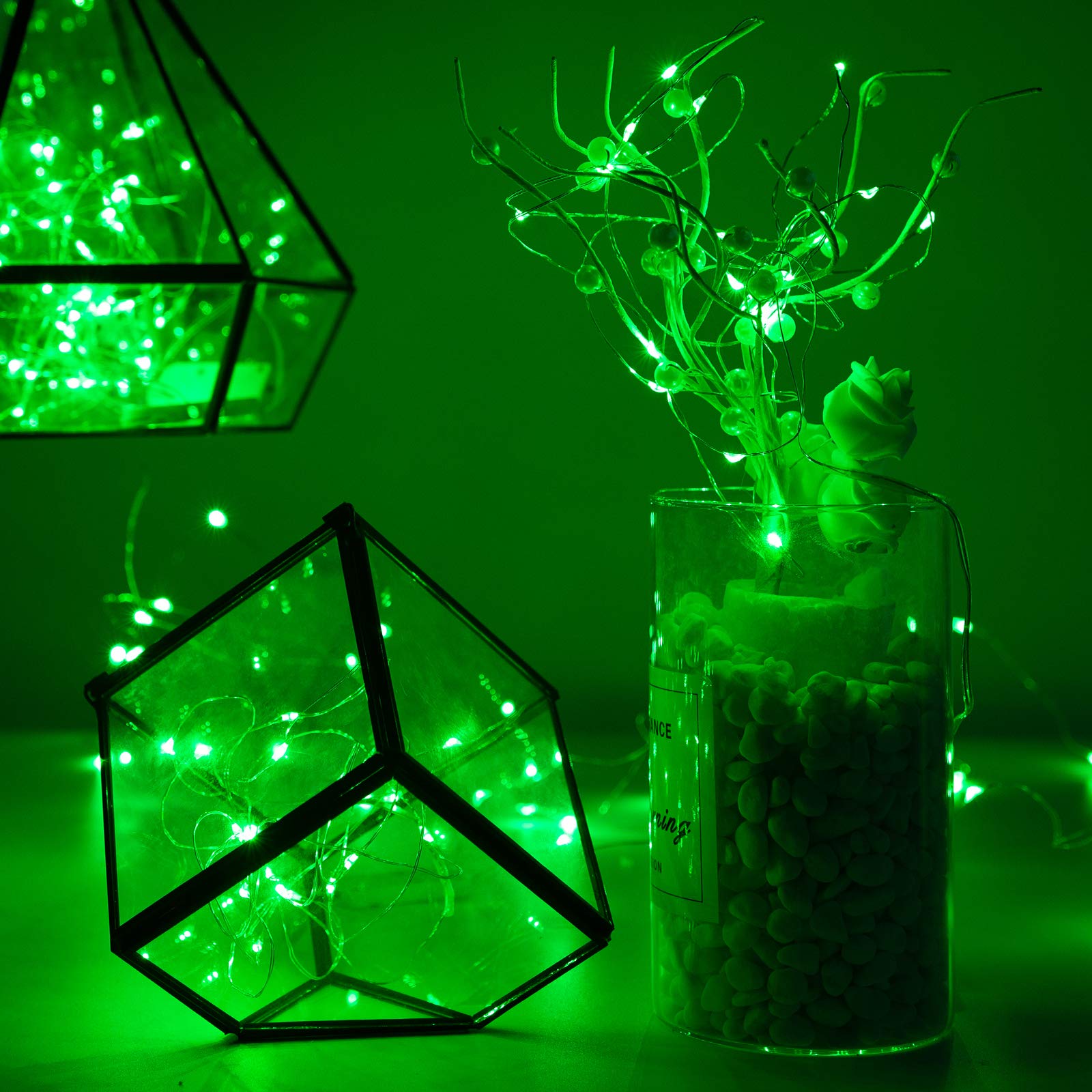 Brightown LED Fairy Lights, 12 Pack, 20 Lights, Waterproof Silver Wire, 7 ft, Green, Battery Operated, Model CR2032
