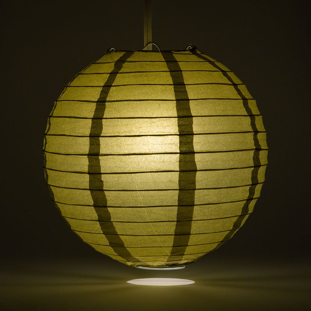 Quasimoon 12 Inch Silver Round Paper Lanterns, 5-Pack, Even Ribbing, Paper Material
