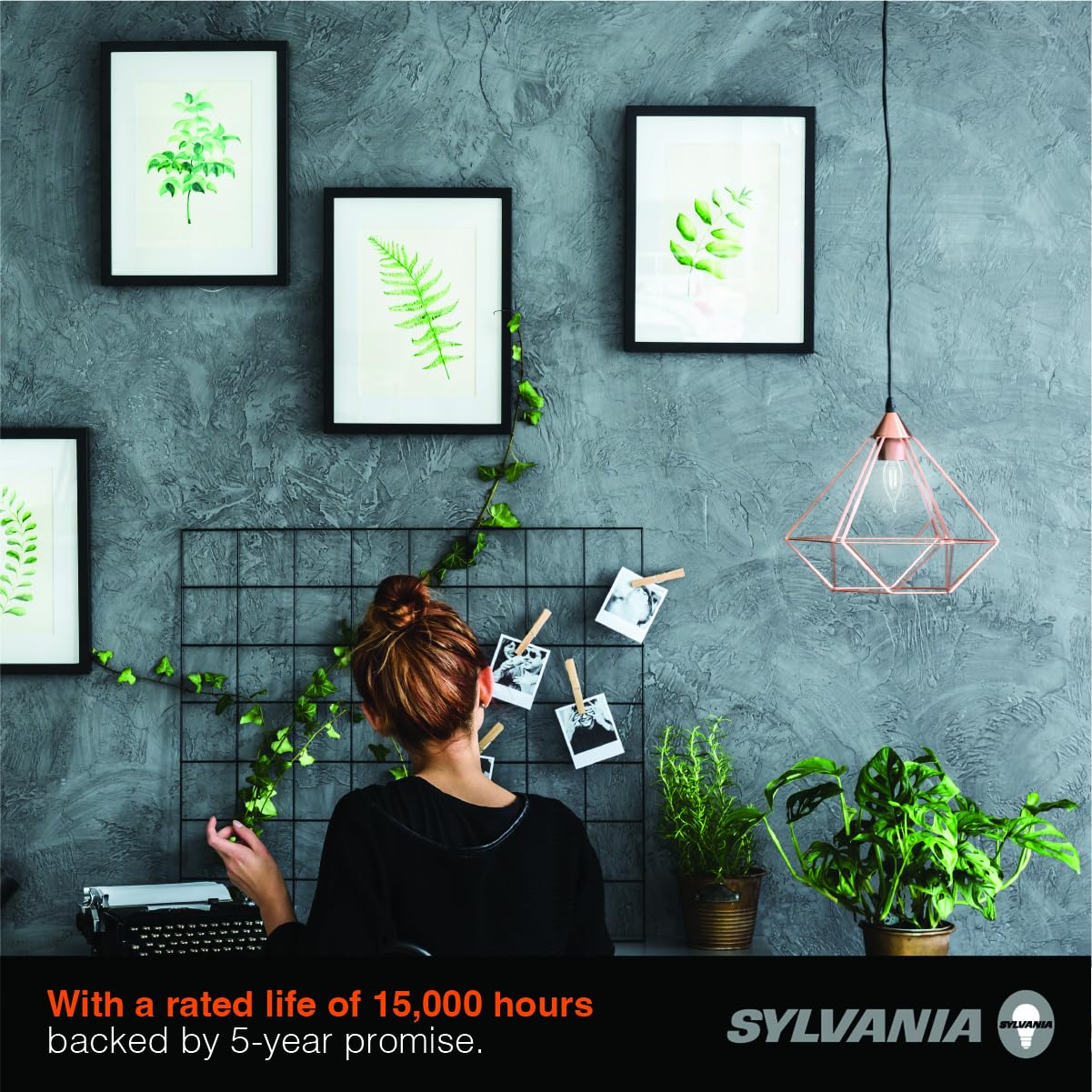 Sylvania B10 Clear Led White Filament Bulb, 7W, Dimmable, 750 Lms, Candelabra Base, 5000K, Daylight - 2 Pack (42261)