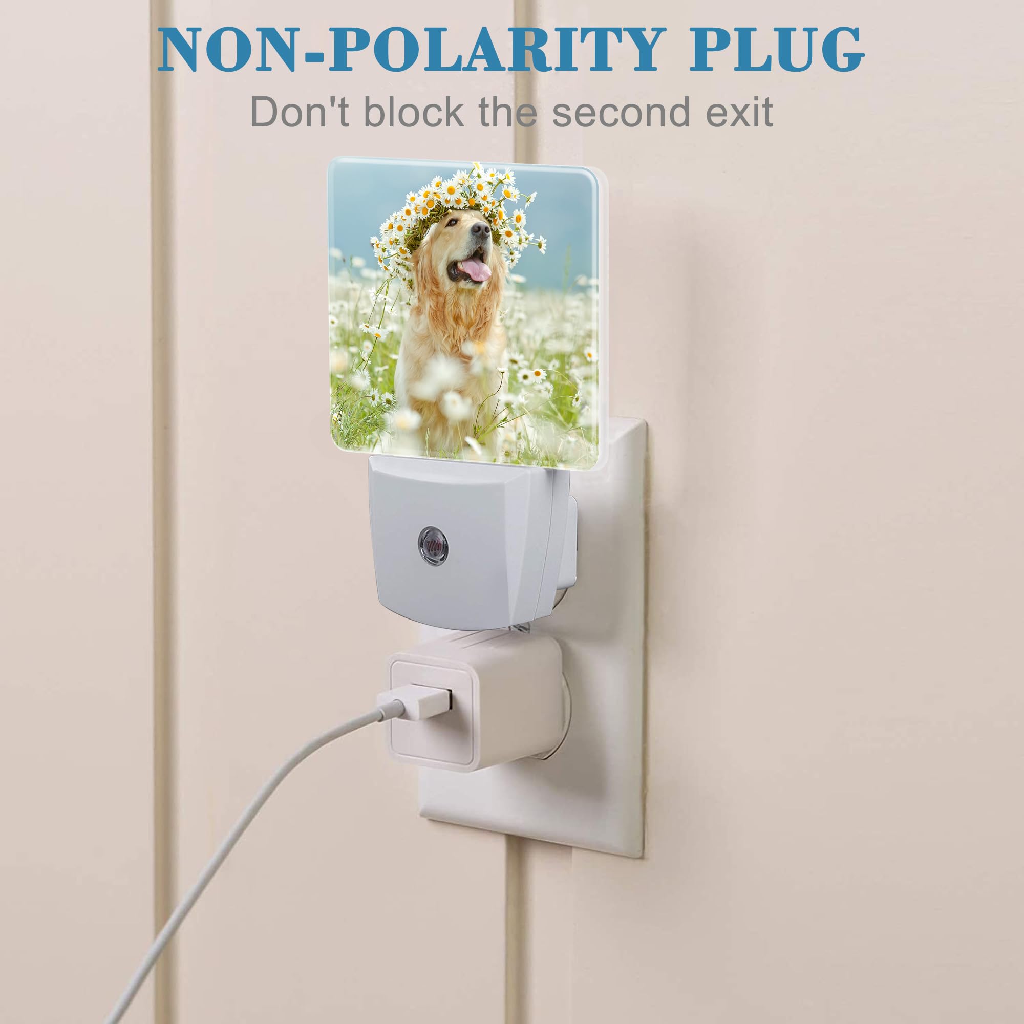 Uiaoiais Plug In Night Lights Golden Retriever With Daisy Wreath Night Light With Dusk To Dawn Sensor Night Light For Kid Girls