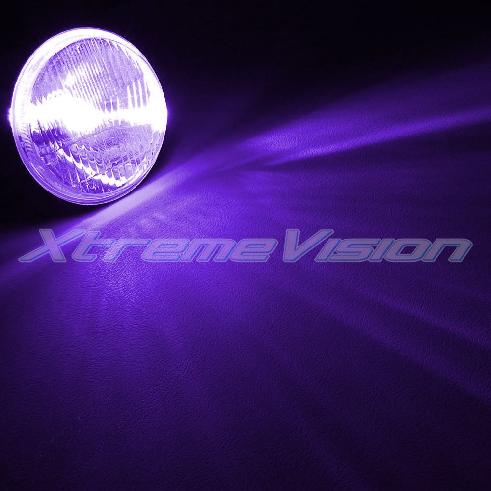 Xtremevision Hid Xenon Replacement Bulbs - H1 12000K - Purple (1 Pair) - High Performance Dc Model For Enhanced Visibility