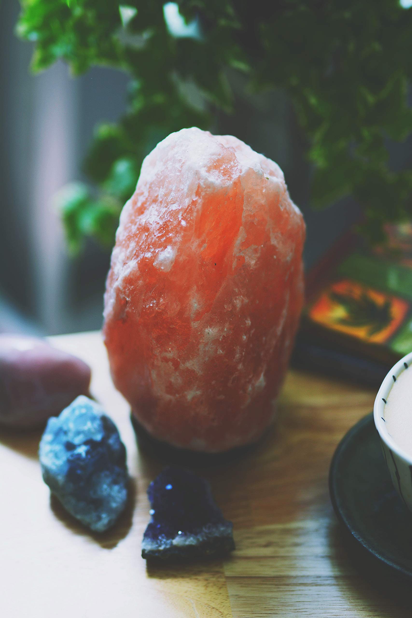 Evolution Salt Himalayan Natural Cystal Salt Lamp