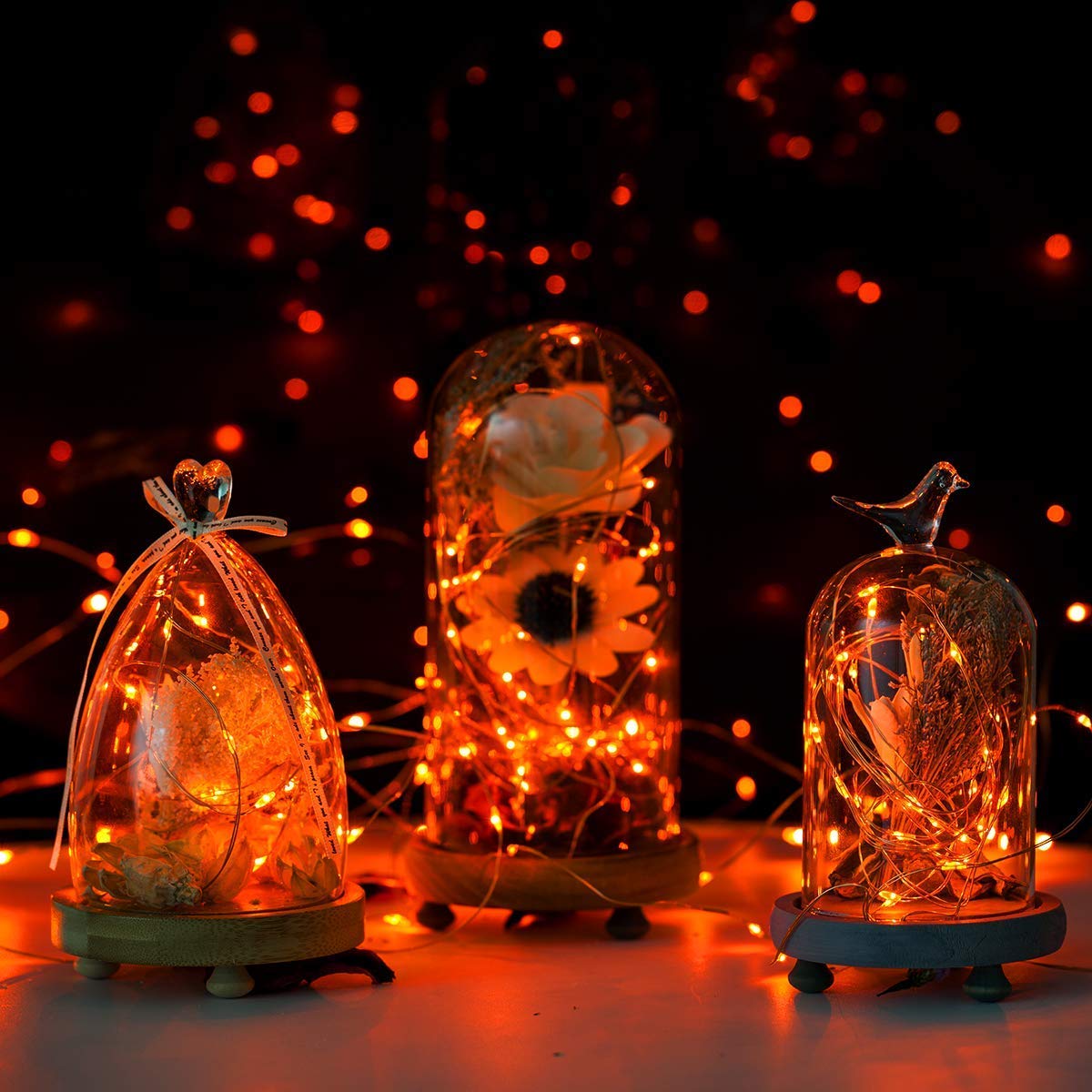 ANJAYLIA 2 Pack Fairy String Lights 30 LED Battery Operated 10Ft Orange Copper for Halloween, Thanksgiving, Christmas Indoor Decoration