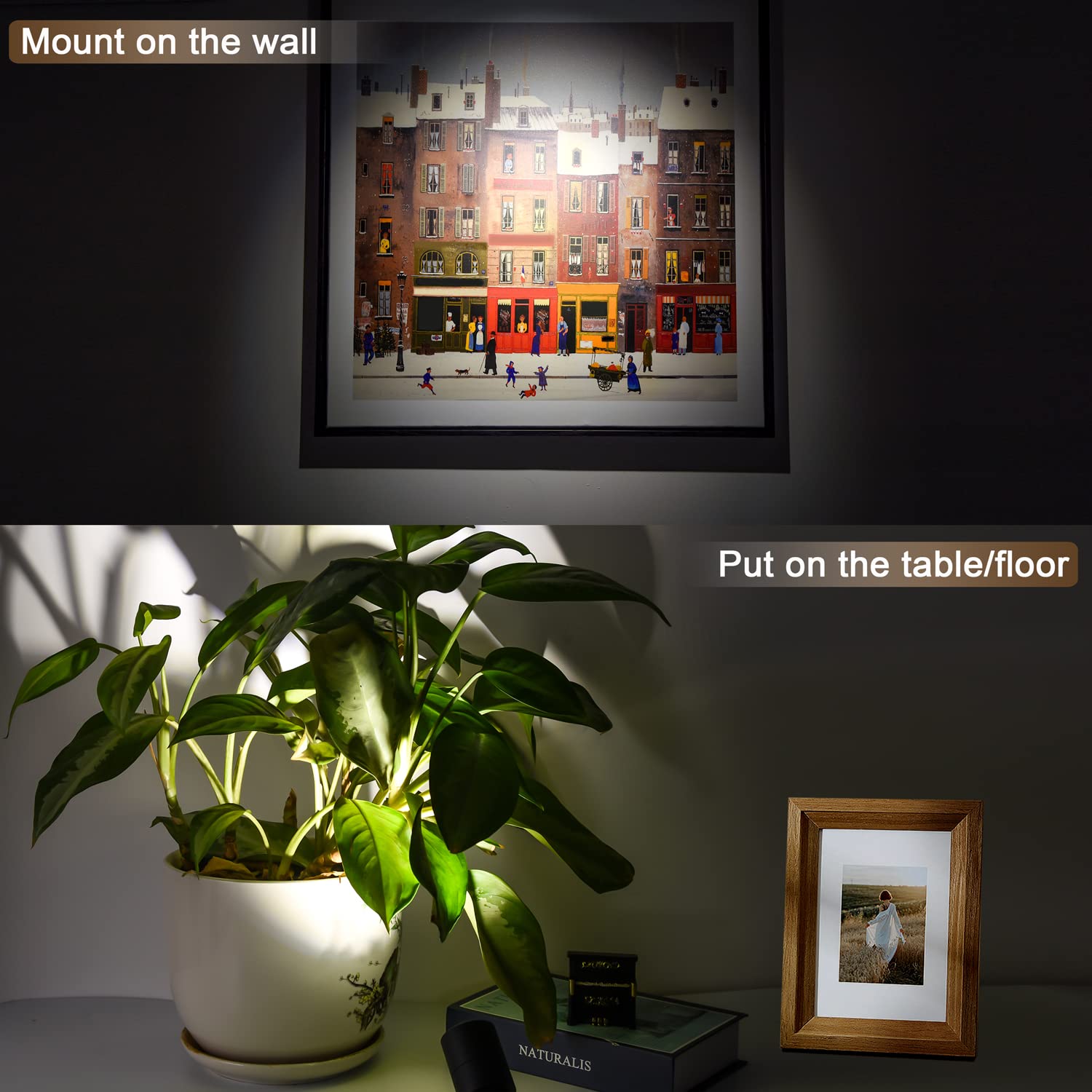 Fzwle 2 Pack Dimmable Indoor Spot Lights With Timer & Remote, 3W Led Up Lights, 3000K/4000K/5000K Adjustable, Ideal Indoor Accen