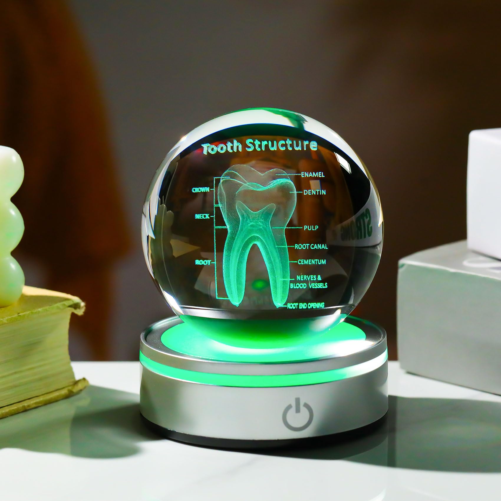 Enjinkail Tooth Model 3D Crystal Ball Dental Gifts For Women Men, Dentist Hygienist Present Office Decor With Led Base, Laser Et