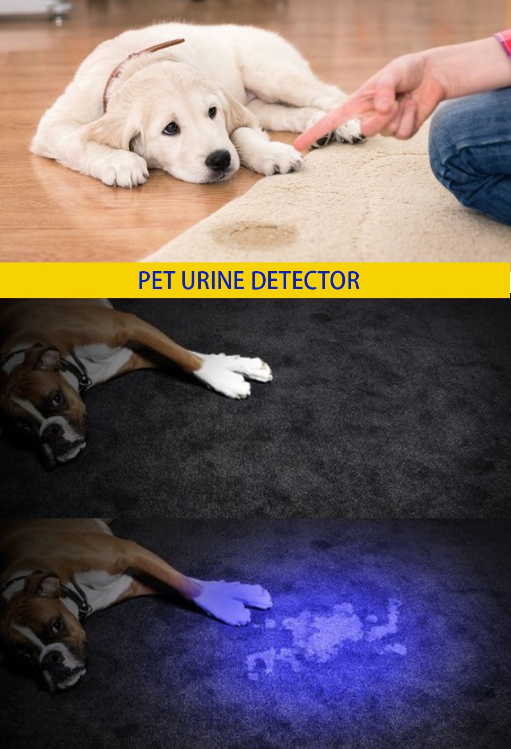 DARKBEAM USB 395nm UV Rechargeable Flashlight - Black Portable LED Light for Dog Urine Detection & Resin Curing