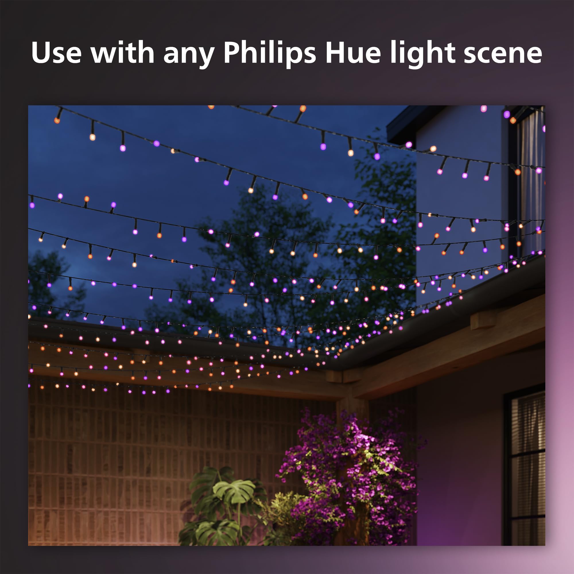 Philips Hue Festavia String Lights - 65ft Multicolor Smart LEDs - Weatherproof - Compatible with Alexa, Google Assistant, Apple HomeKit