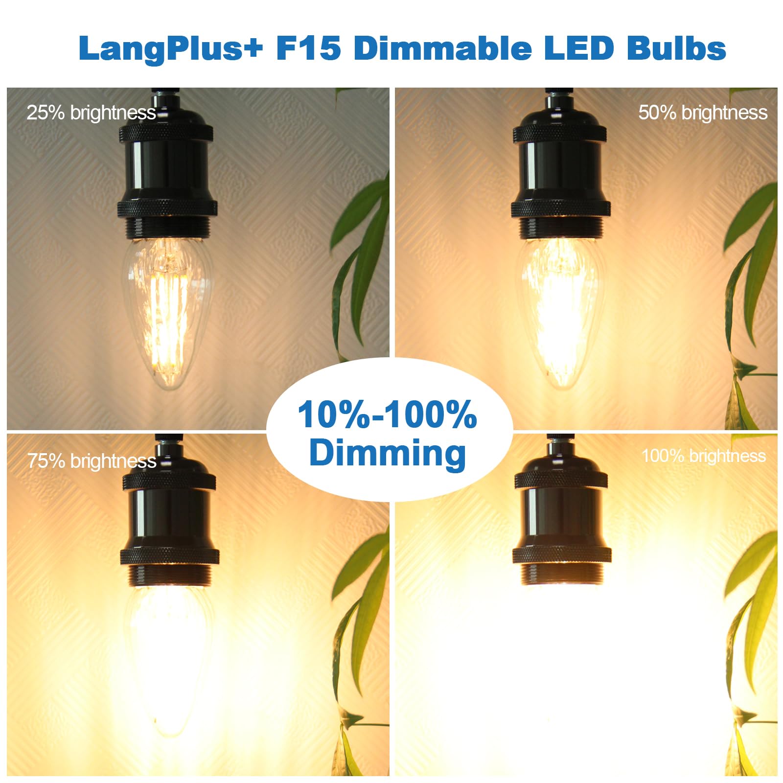 Langplus+ Led Edison Bulbs, Dimmable, F15 Porch Light Bulbs, E26 Base, 6W, Equivalent 60W, 2700K Warm White, Flame Wrinkle Glass
