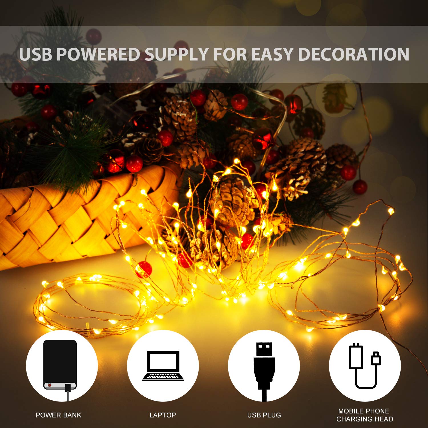 Ariceleo USB LED Fairy String Light, 1 Pack Copper Wire Fairy Lights for Indoor, Bedroom Festival Christmas Wedding Party Patio
