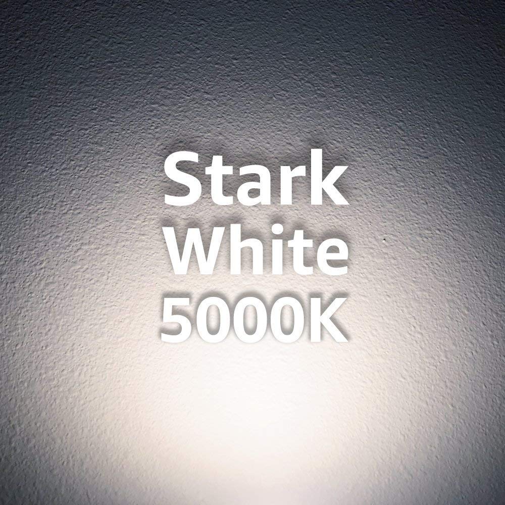 Euri Lighting Led A19 15W (100W Equivalent), Dimmable, 1600Lm, 5000K Cool