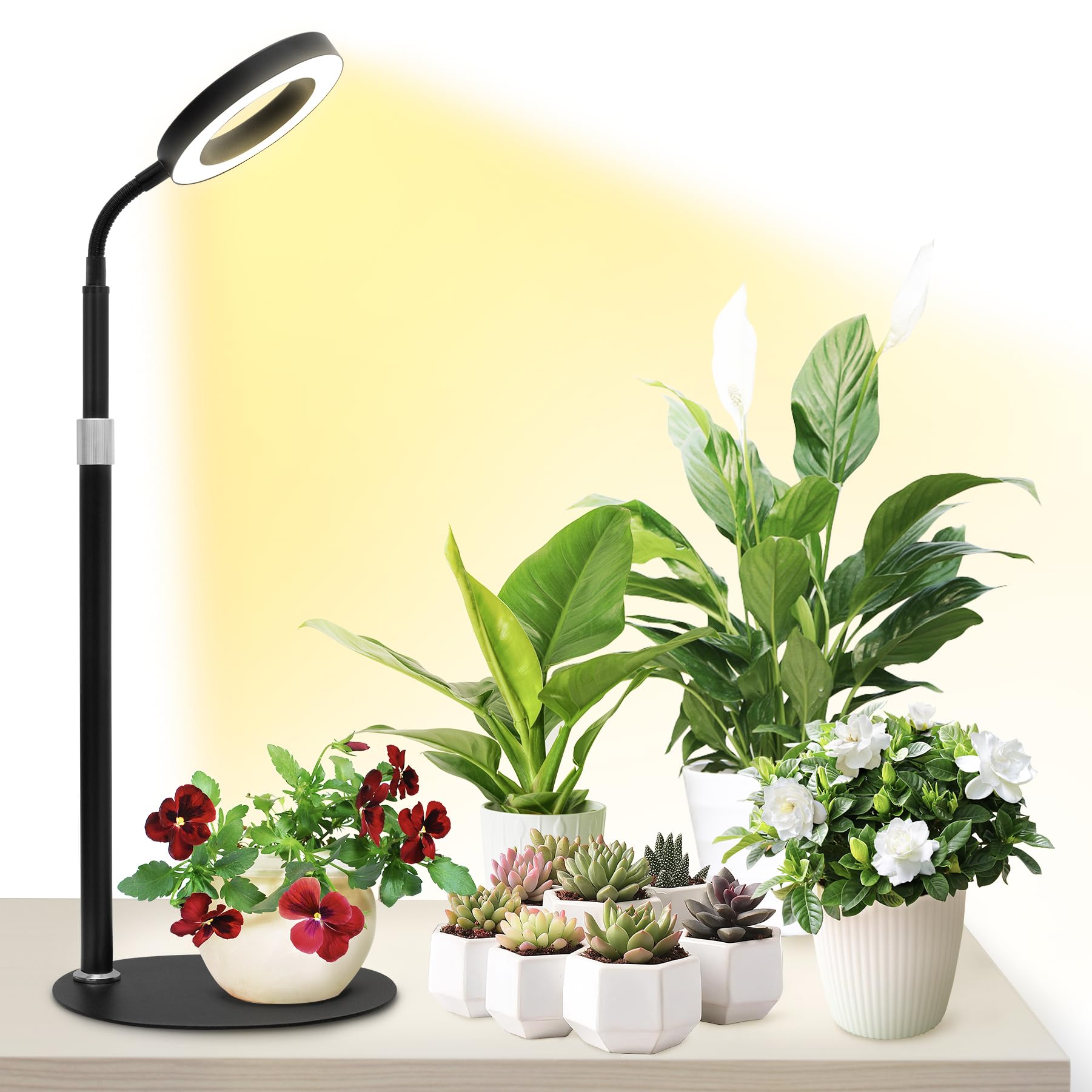 Grow Lights For Indoor Plants, Red Blue Yellow Full Spectrum Desktop Small Led Halo Plant Growing Lamps With Stand,Automatic Timer,24.2 Inch Height Adjustable,10 Dimmable Levels,3 Lighting Modes,Black