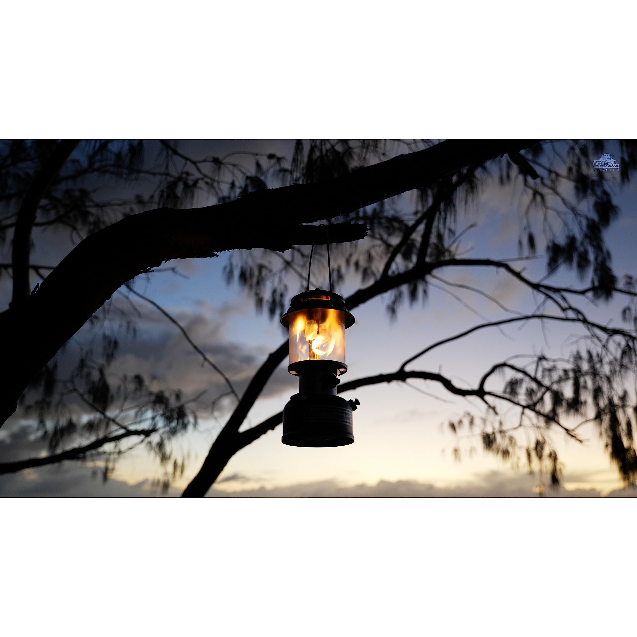 Coleman Powerhouse Dual Fuel Lantern Shines Up To 800 Lumens  2-Mantle Lantern Uses Coleman Liquid Fuel Or Gasoline With Adjustable Brightness  Carry Handle  Mantles  & Funnel Included