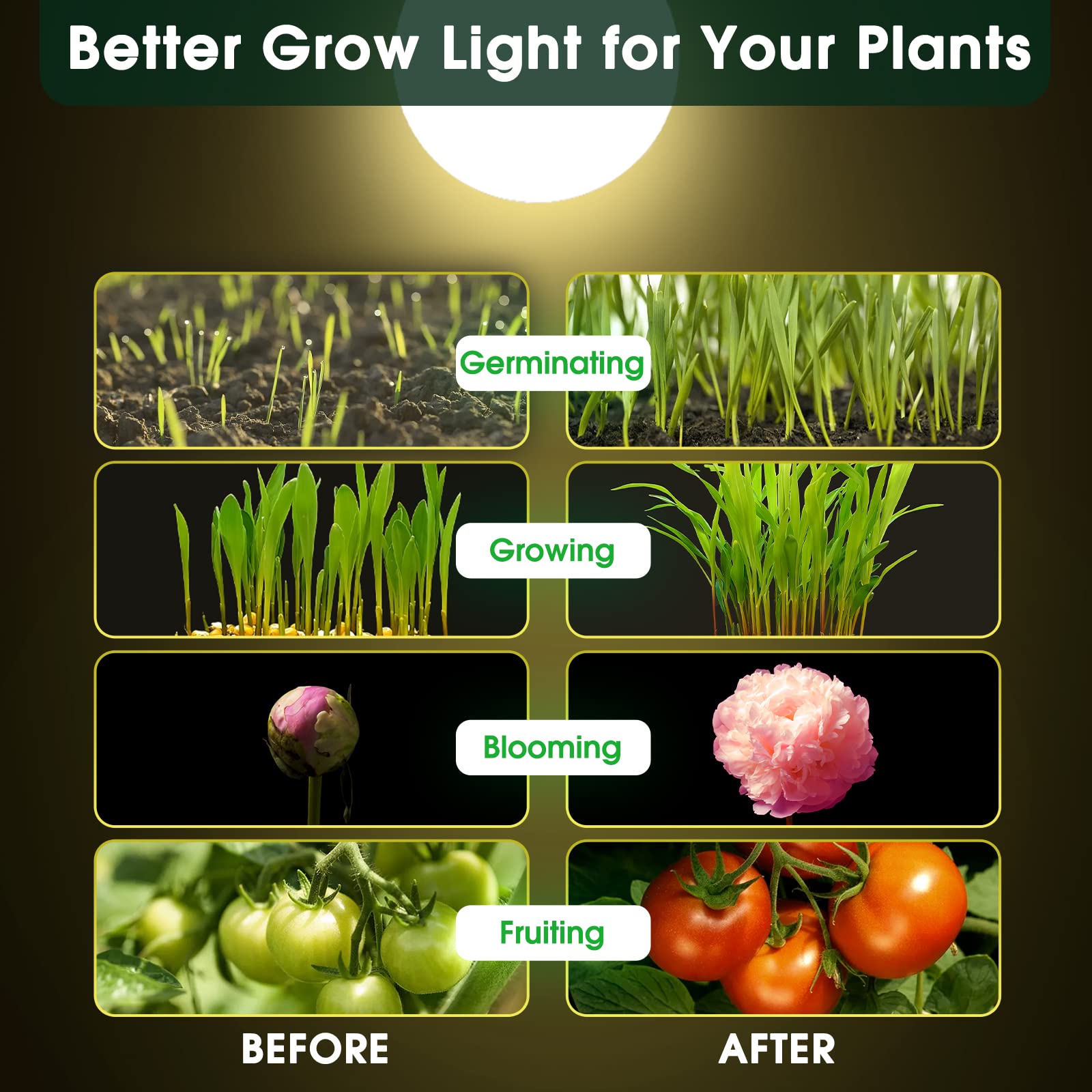 WEEGrow LED Grow Light Bulbs A19, Full Spectrum, E26 Base, 11W (100W Equivalent), Warm White 4000K, 2 Pack
