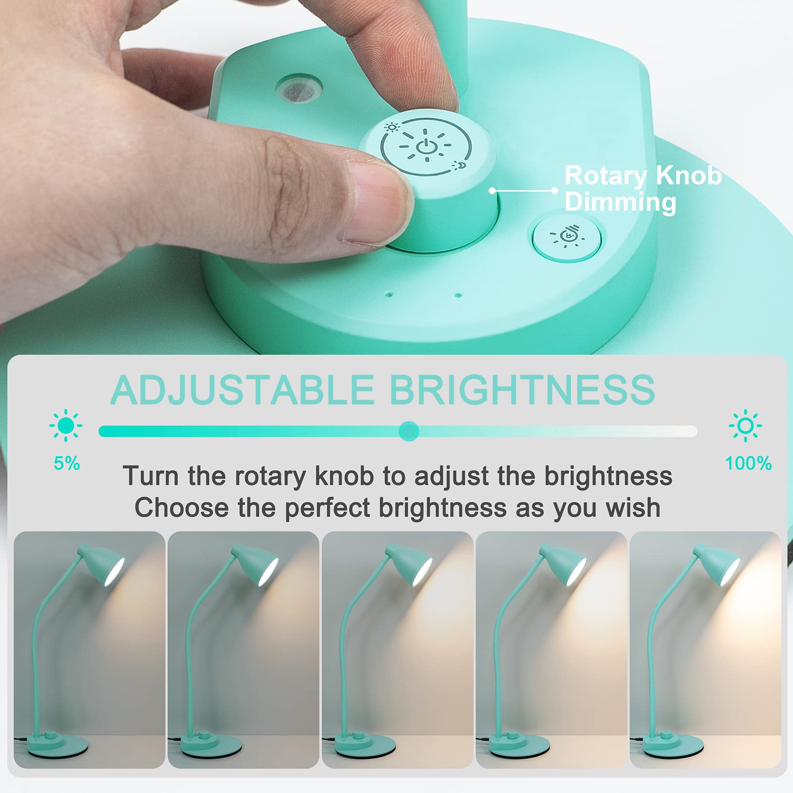 BOHON LED Desk Lamp, Flexible Gooseneck, 3 Color Modes, Dimmable, Teal, Model GGBDL10WT, USB Charging Port, Adapter Included