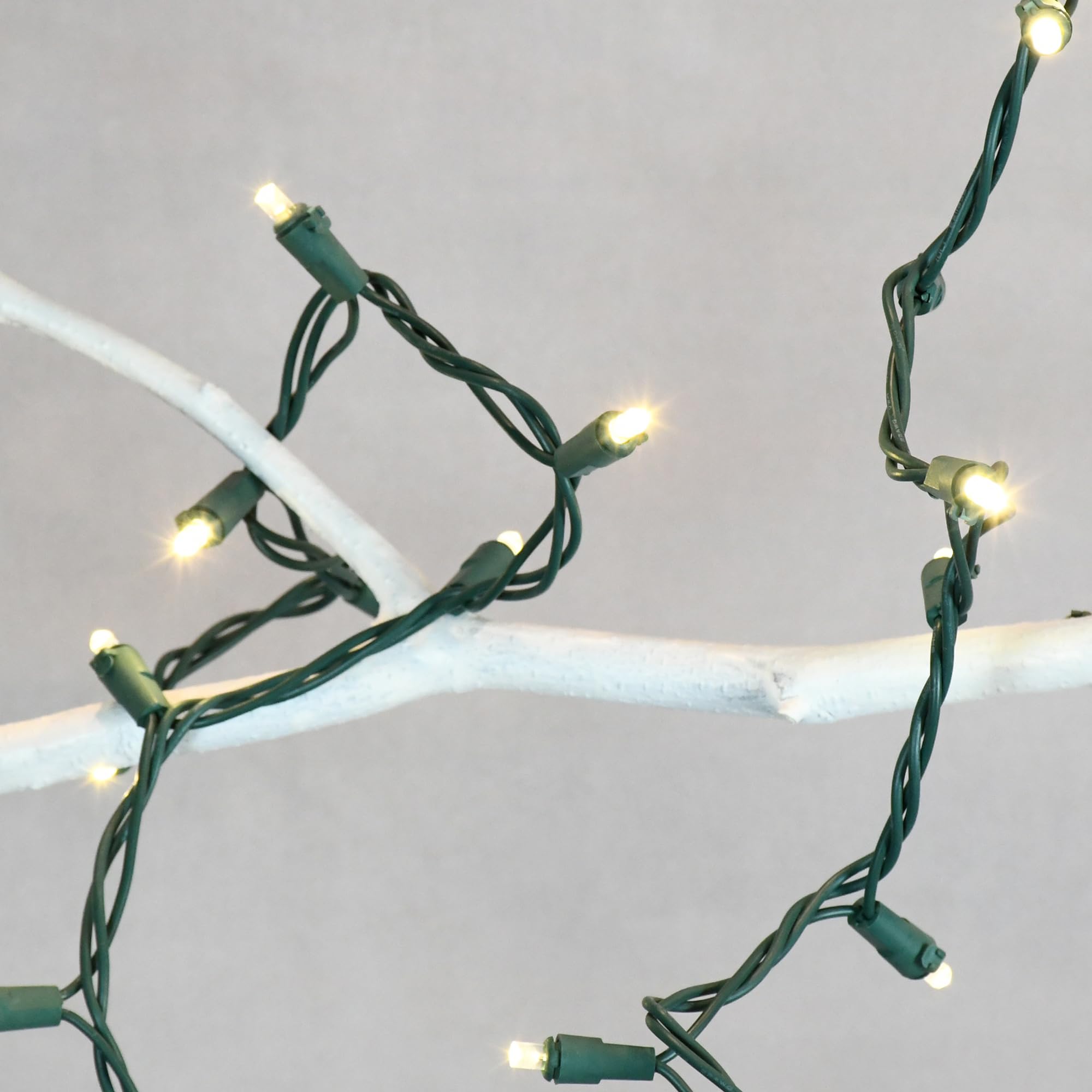 Lumabase Battery Operated Led Mini String Lights - White, 25 Lights On 113" Cord, Set Of 2, 66002