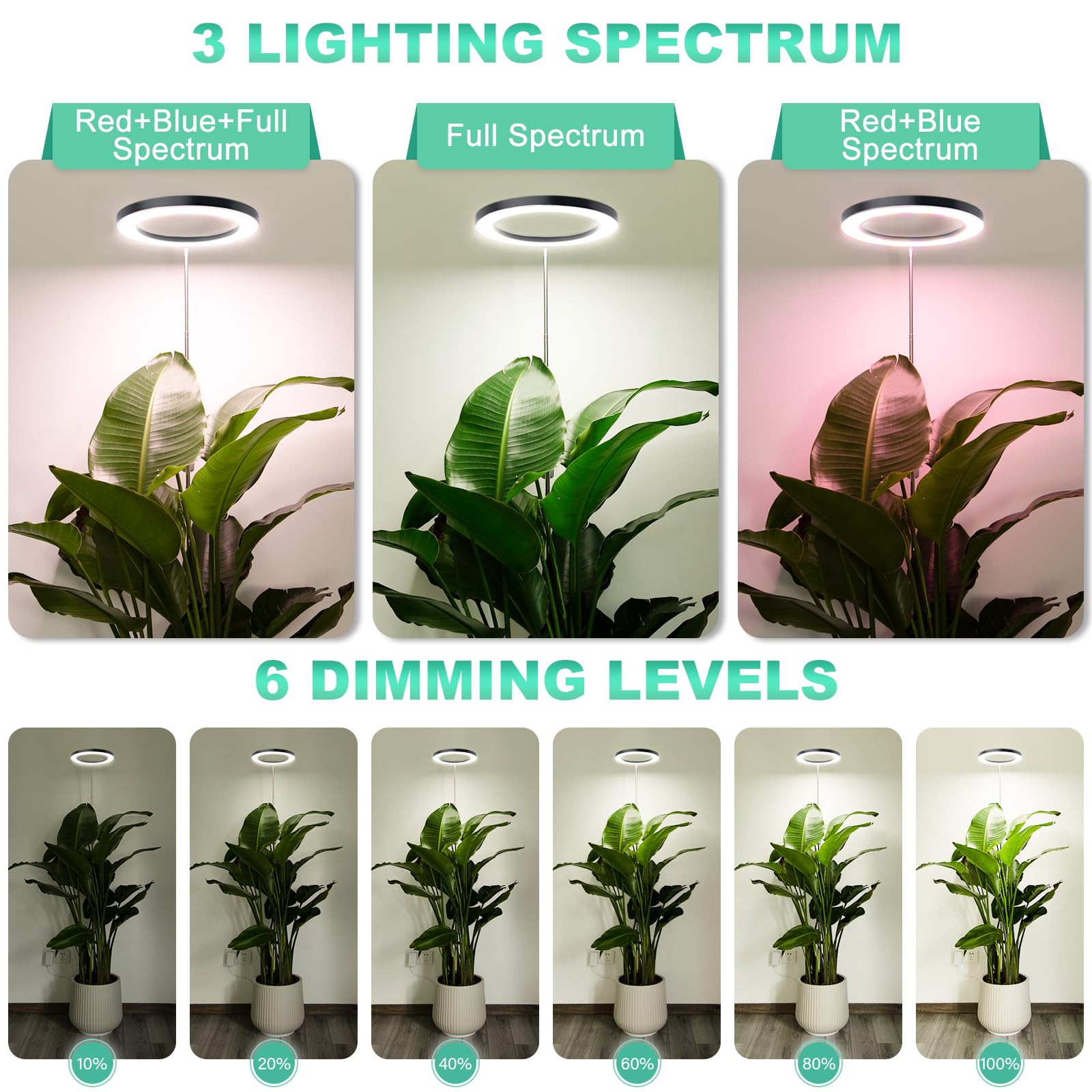 LORDEM 10" Full Spectrum Grow Light - 160 LEDs, 4/8/12H Timer, 3 Modes, 10 Dimmable Levels, Height Adjustable, Black, Model