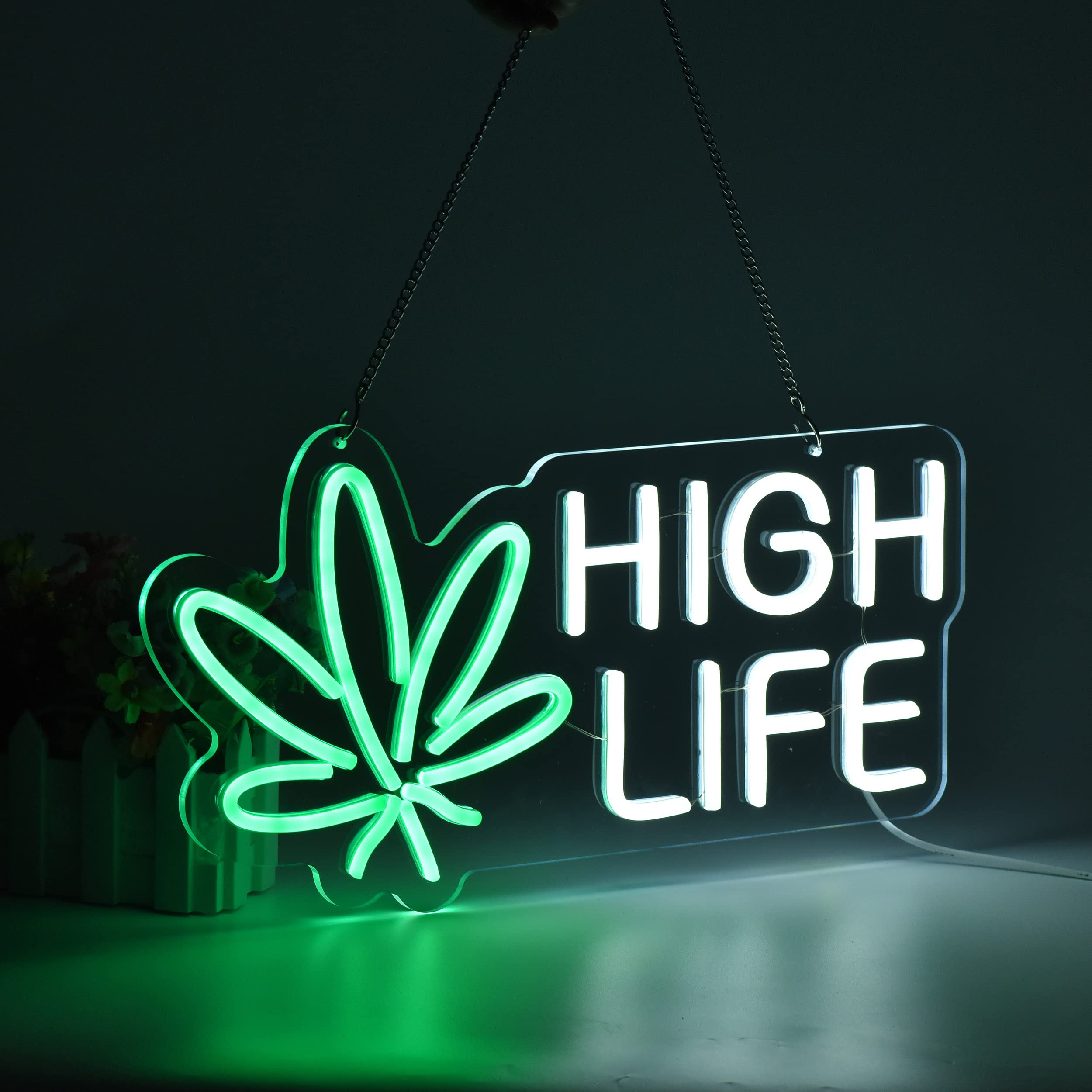 Roouneon Dimmable Neon Sign - Green & White Beer Bar Decor For Man Cave, Club, Bedroom