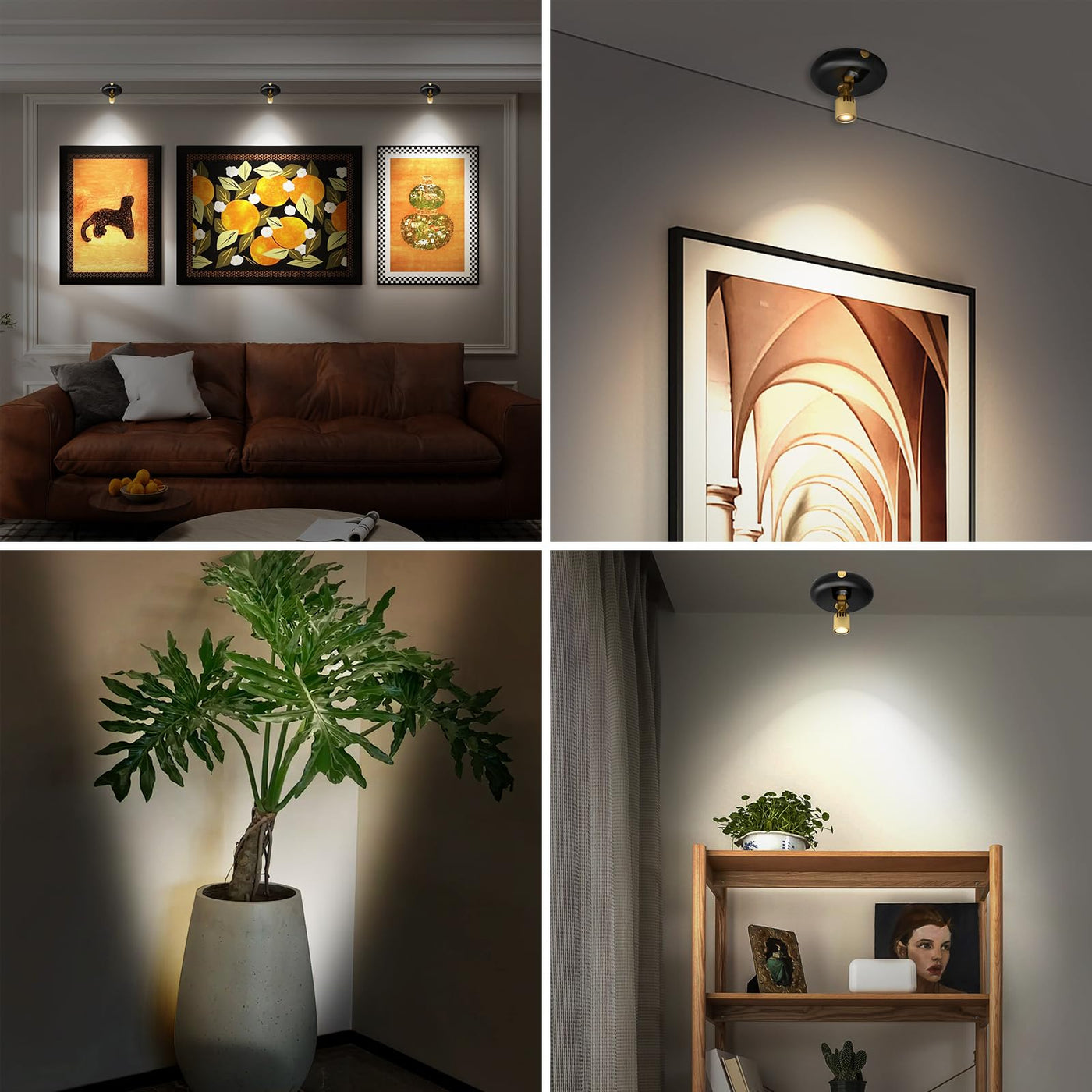 uplighting for indoor plants Indoor Plant Spotlight Battery Operated,Picture Light with Remote,Wall Painting Light,Wireless Uplight Dimmable Timer,Spot Light – Lightsdaddy