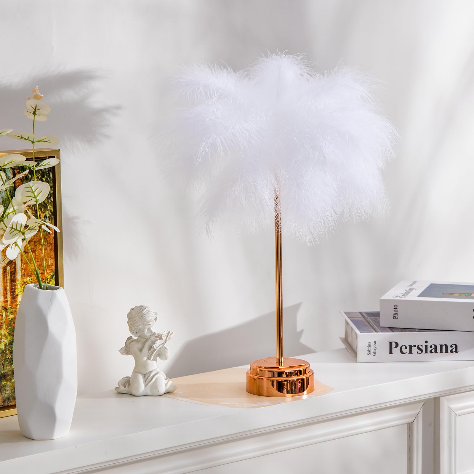 Bdusxyz White Feather Lamp - Led Atmosphere Feather Night Lights Bedside Lamps For Mother, Girlfriend Home Girl Room Wedding Dec