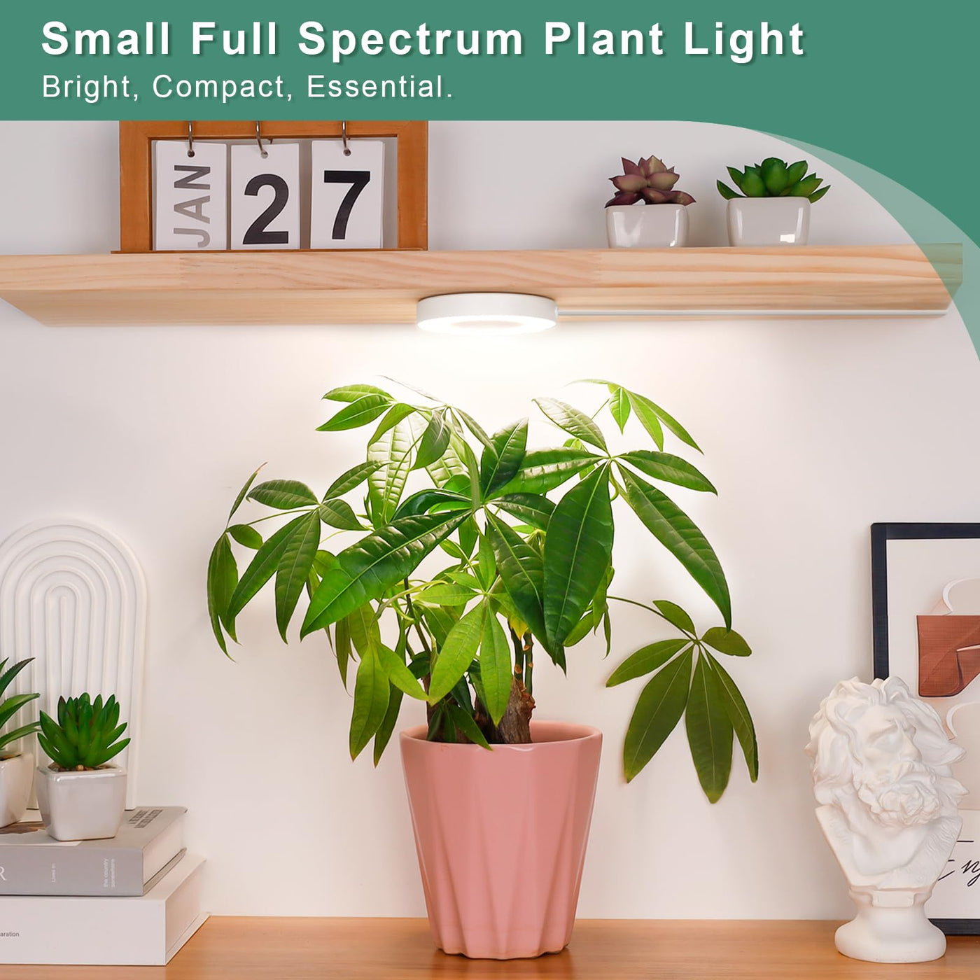 lordem plant grow light LORDEM Grow Light for Indoor Plants, 48 LEDs Full Spectrum, 5V, 4/8/12H Auto Switch, Dimmable, Aluminum, Single Light, Model A006