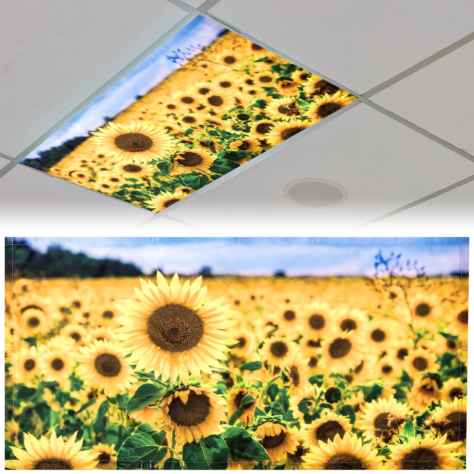 Patelai Fluorescent Light Cover Shade with 10 Magnets, 4 x 2 Feet, Yellow, Model PT-Patelai-3152 for Classroom, Home, Office Decor