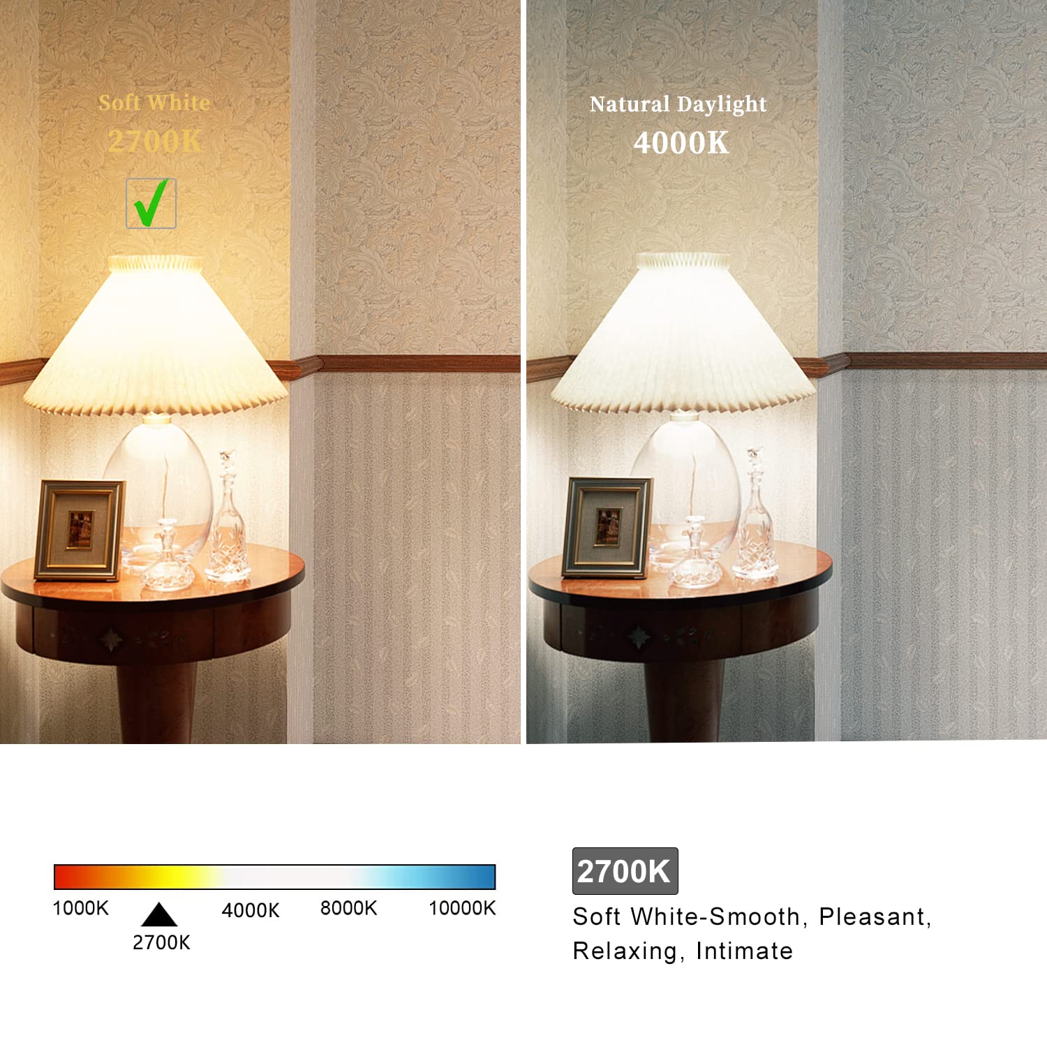 Myemitting 2 Pack G30/G95 Globe Led Bulb, Warm White 2700K Dimmable Led Globe Bulb, 5W Equivalent 40W Led Globe Light Bulbs, Cri