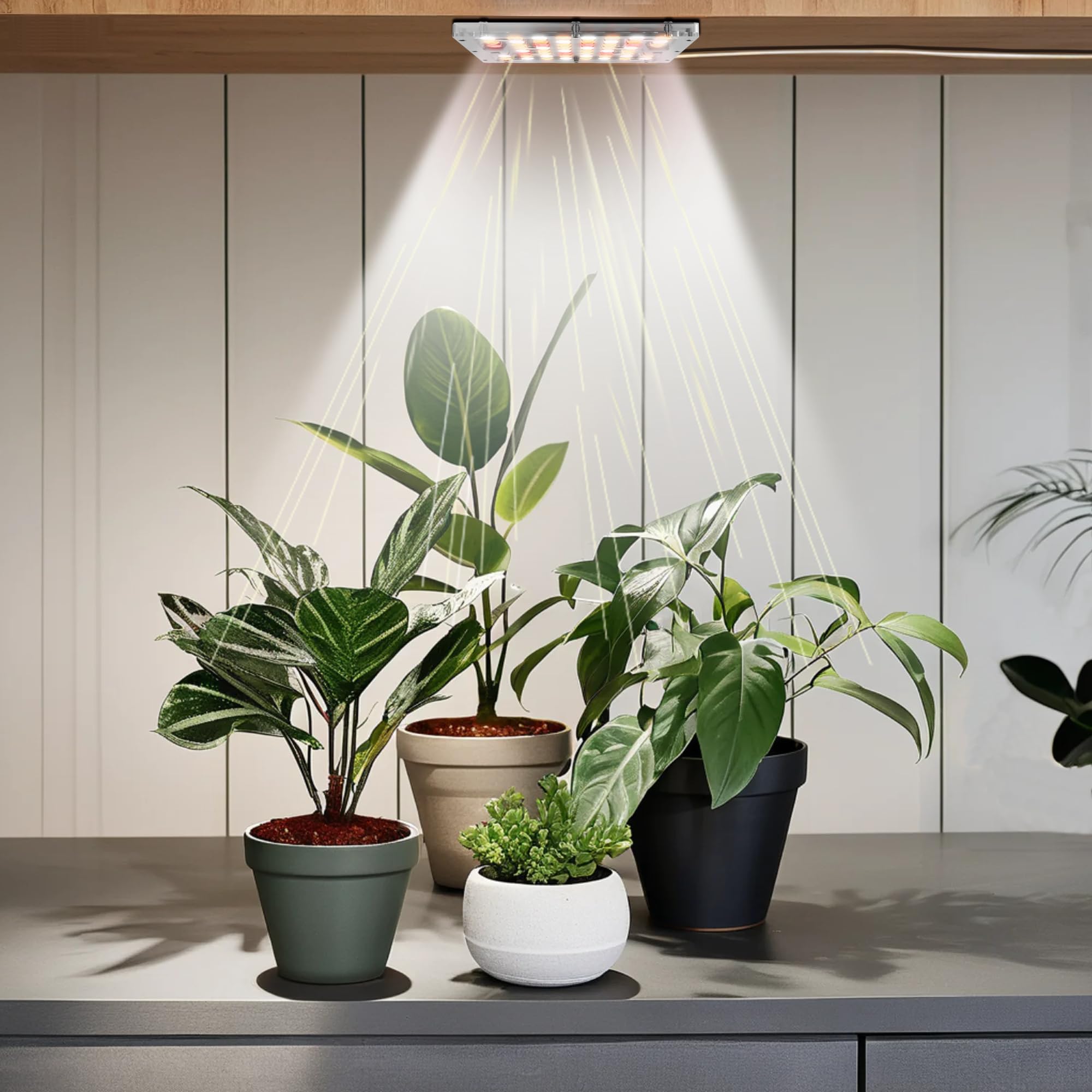 Spotlight Grow Light - 3500K Warm White, Dimmable Full Spectrum with High PPFD | Optical Lenses for Focused Beam, Stick-on Grow