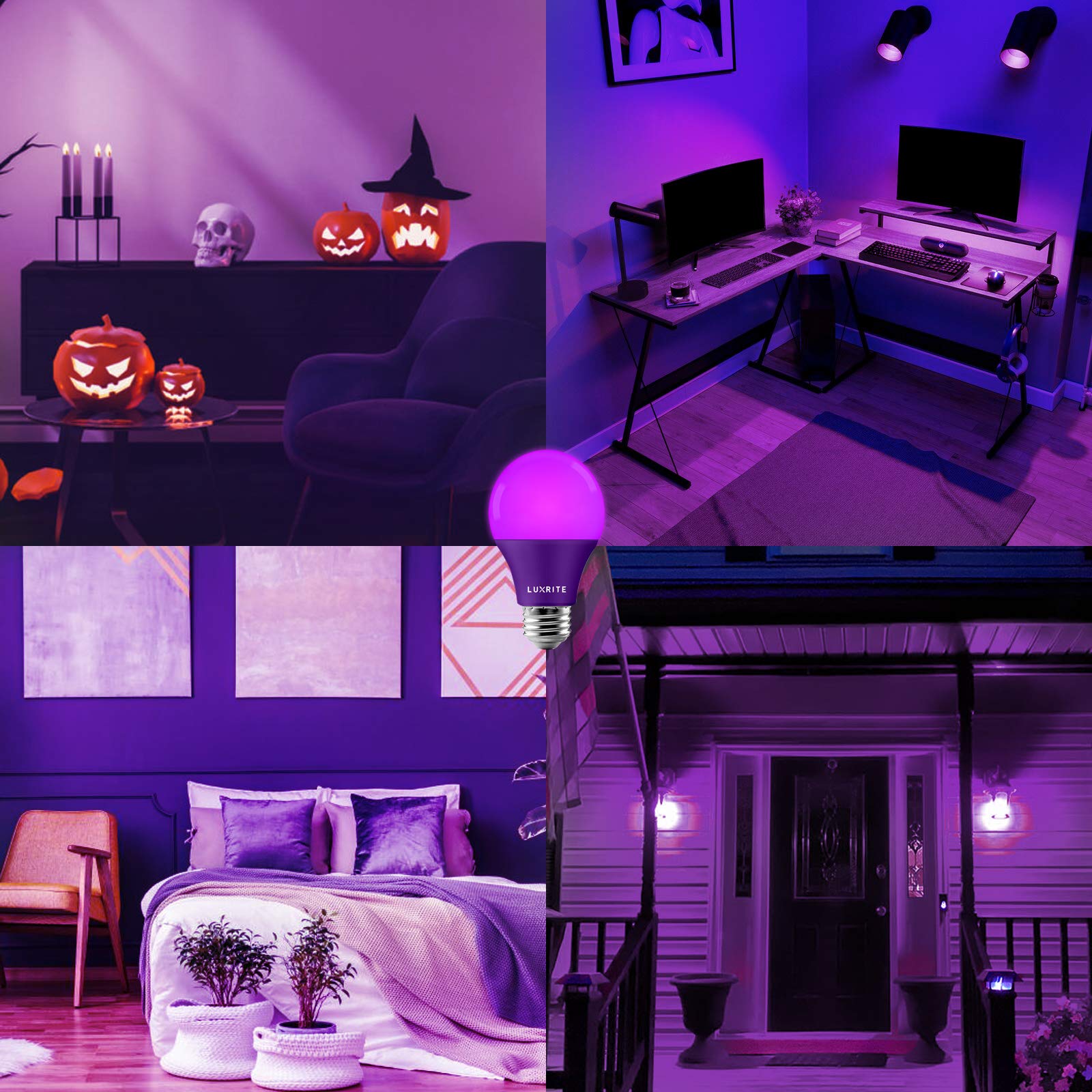 LUXRITE A19 LED Purple Light Bulbs, 60W Equivalent, Non-Dimmable, E26 Base, 3 Count, Indoor/Outdoor Lighting