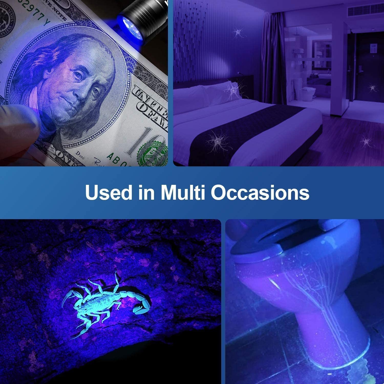 Morpilot UV Flashlight, 12 LED 395nm, 2 Pack, Black, Aluminum, Model 2061023, Mini Torch Light for Pet Urine Detection