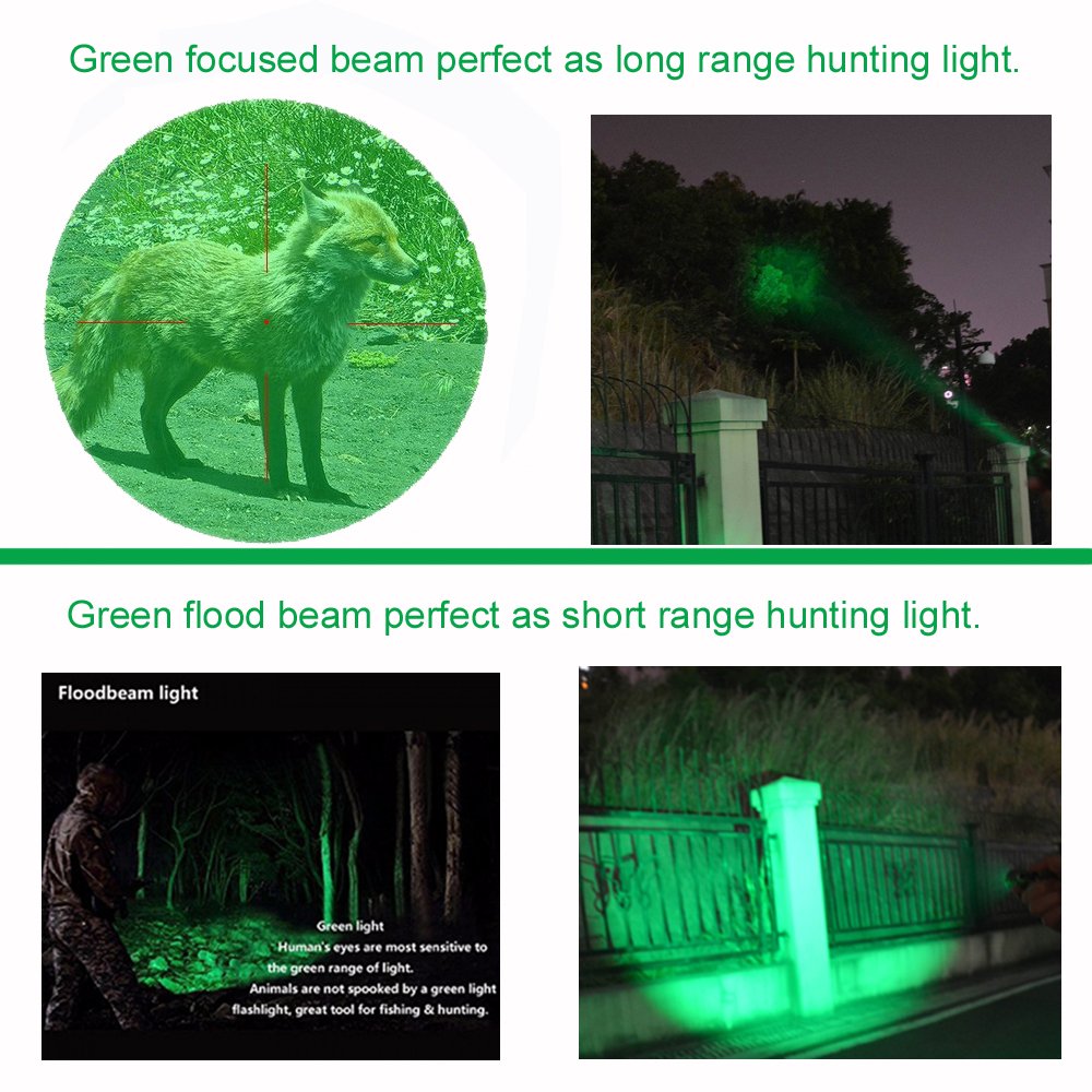 WAYLLSHINE Green LED Flashlight, Mini Hunting Light, 1 Mode, Aluminum, Model WLS-SK68-GREEN-1M