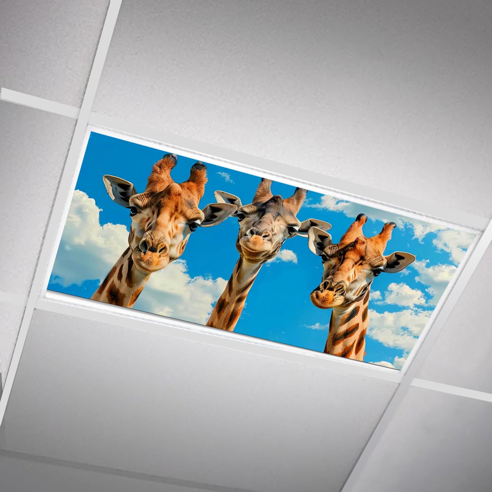SCWISOAS Fluorescent Light Covers - Magnetic 2ft x 4ft Filters for Classroom, Home, Office - Three Giraffes Design