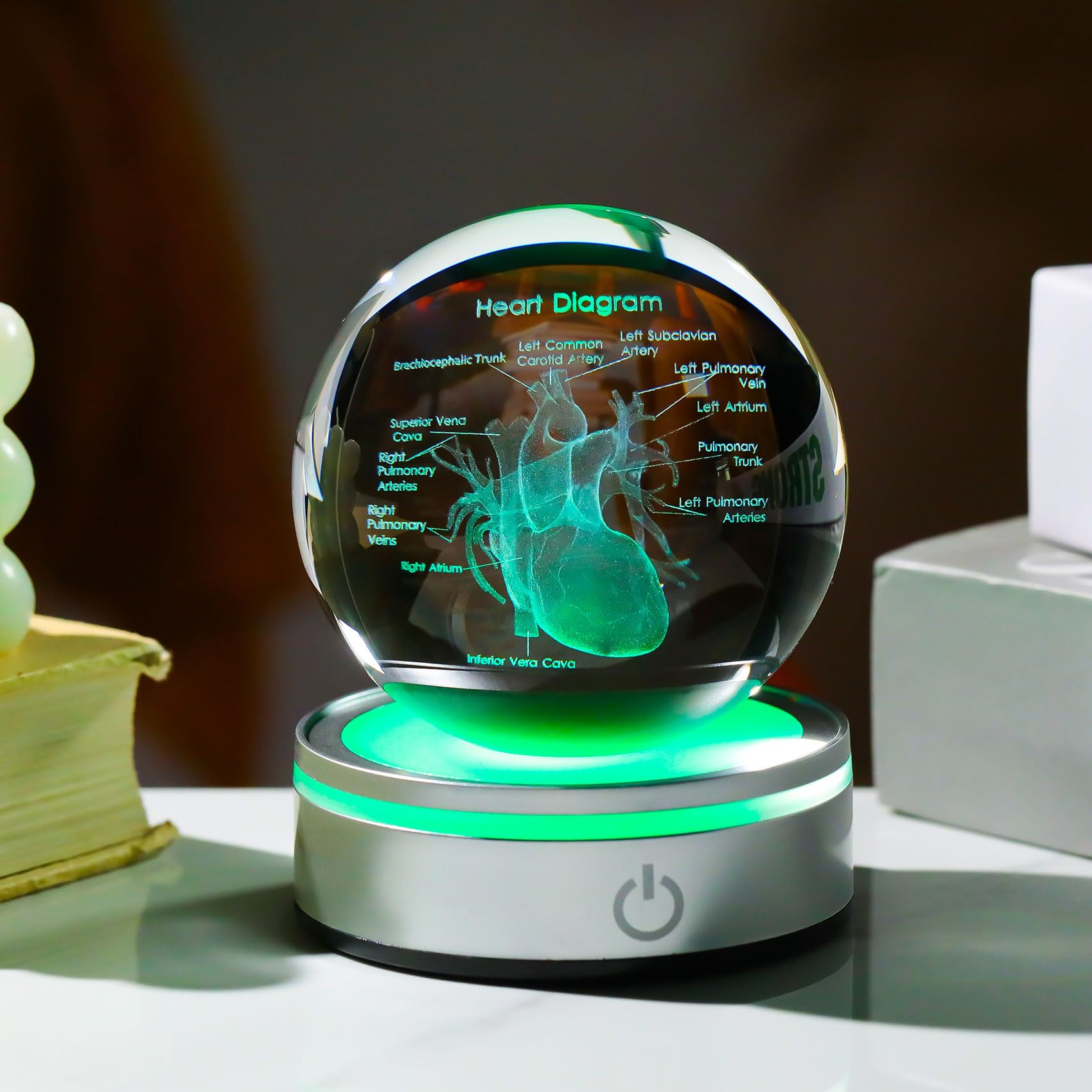 Enjinkail 3D Heart Model Crystal Ball Doctors Gift, Cardiologist Gift For Men And Women With Colorful Led Base, Medical Statue F