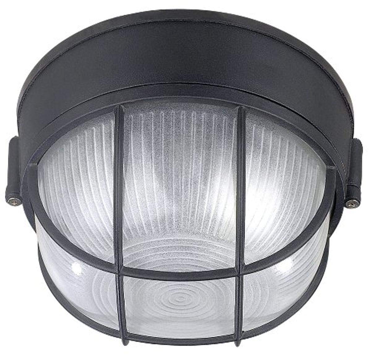 Canarm Iol17Bk The Outdoor 1-Bulb Flush Mount Exterior Light With Frosted Glass Globe, Black