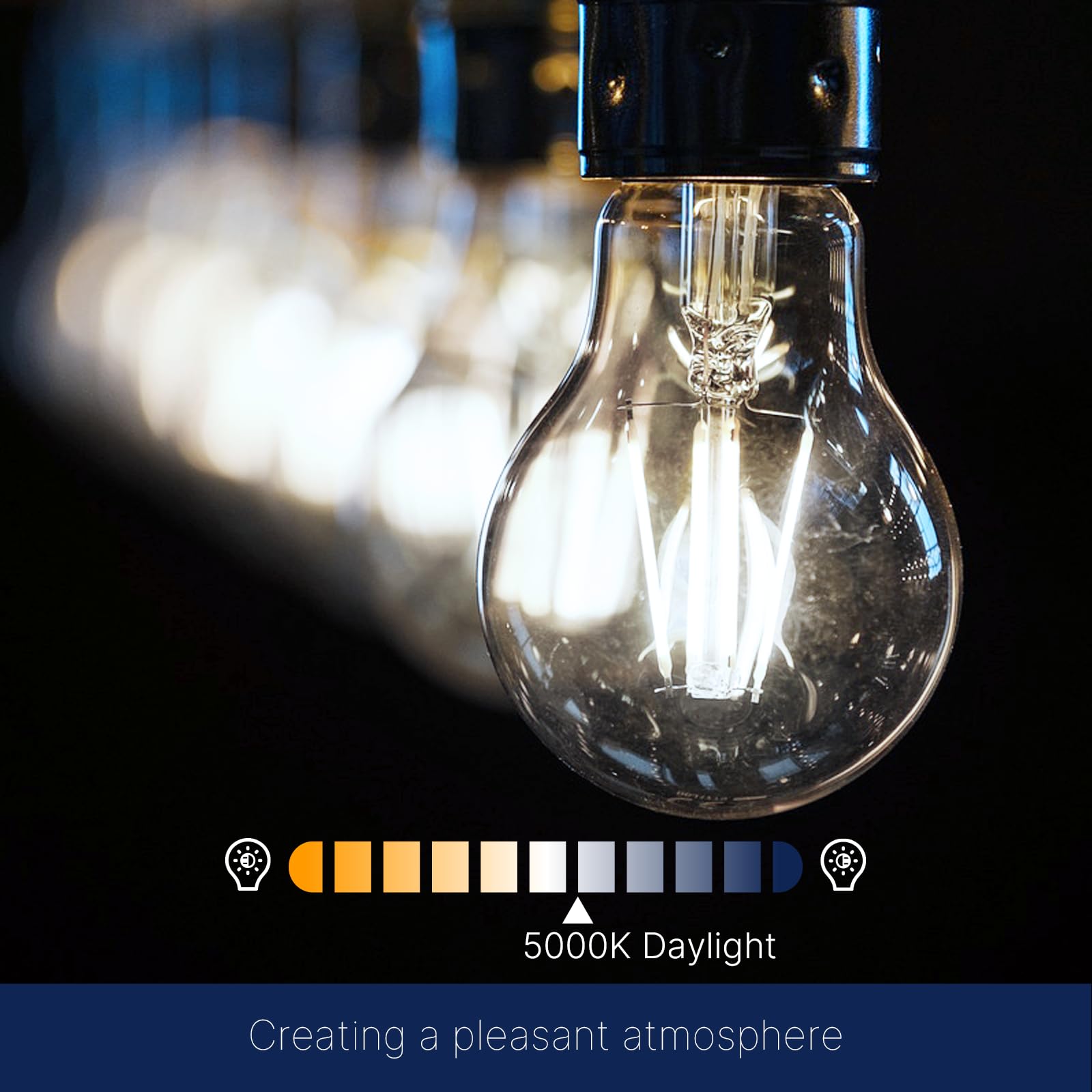 FLSNT A19 LED Light Bulbs 60W Equivalent Dimmable 800 Lumens 5000K Daylight Clear Glass 4 Pack