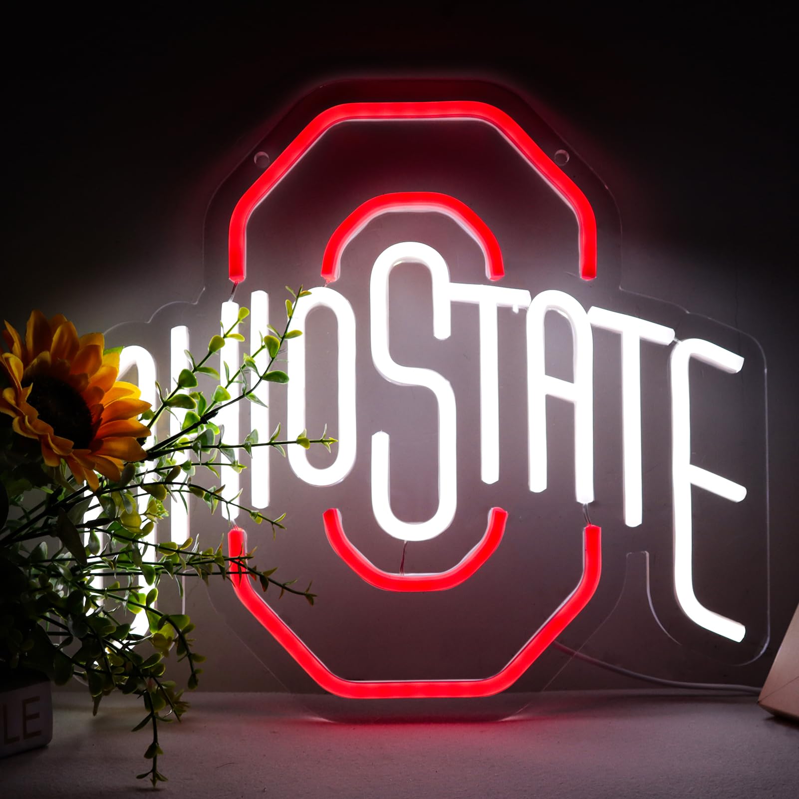 Pugna Neon Signs for Wall Decor - P-OHIO STATE Football LED Light - 8x8 inches - Colorful Dorm Room Decor