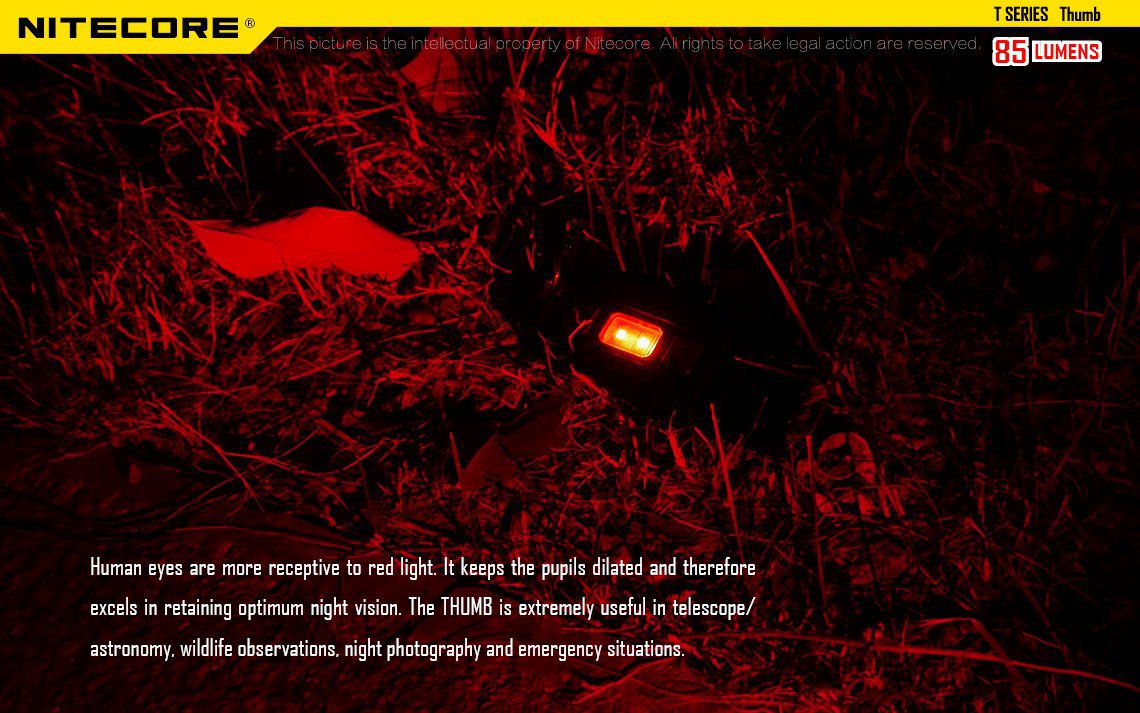 Nitecore Thumb LED Keychain Light - 85 Lumens USB Rechargeable, Tiltable Work Light, Black, Model THUMB