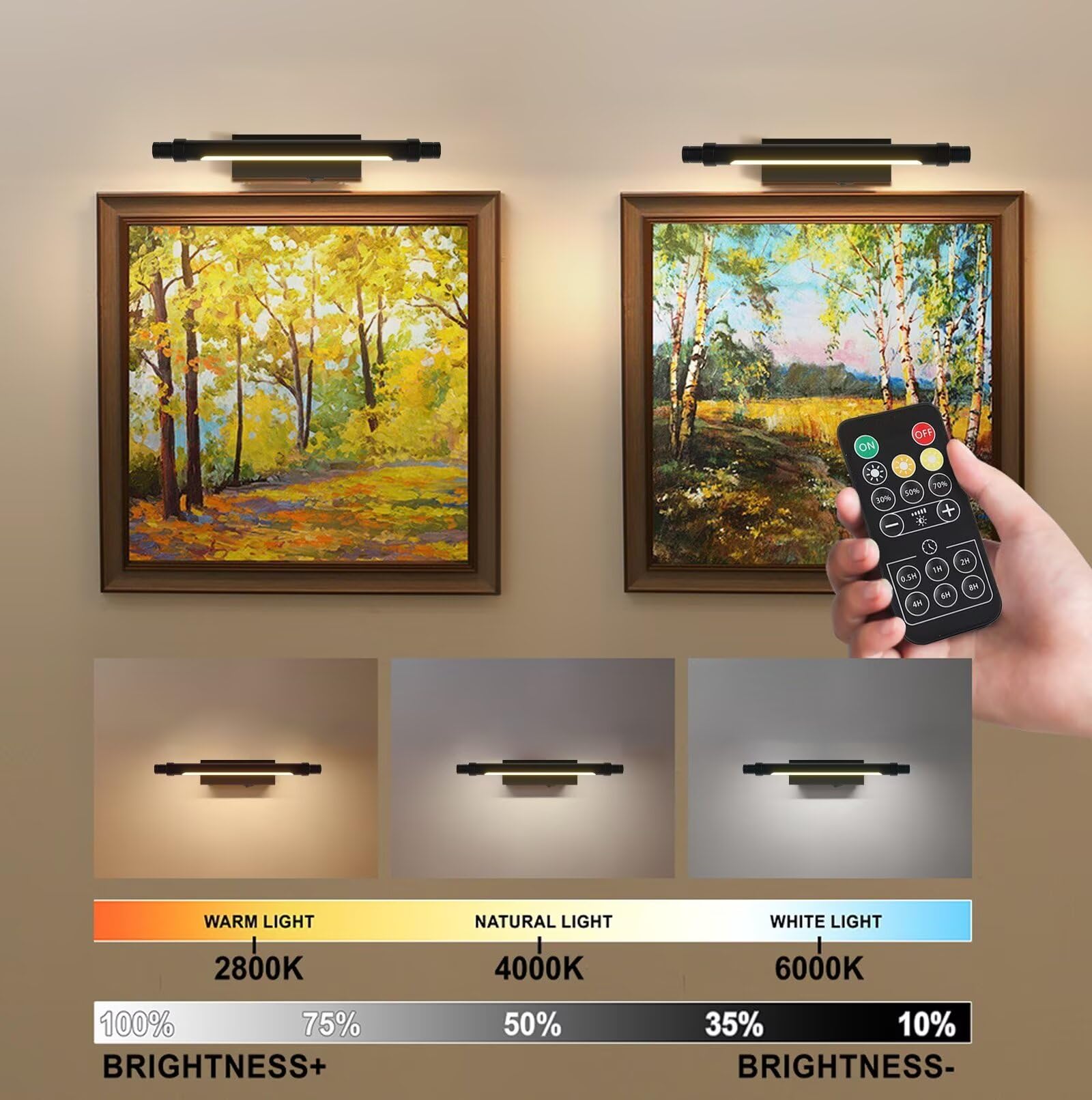 ZitoStory Battery Operated Picture Light with Remote, Wireless Dimmable, 12 Inch, Black, Model 7211-30cm