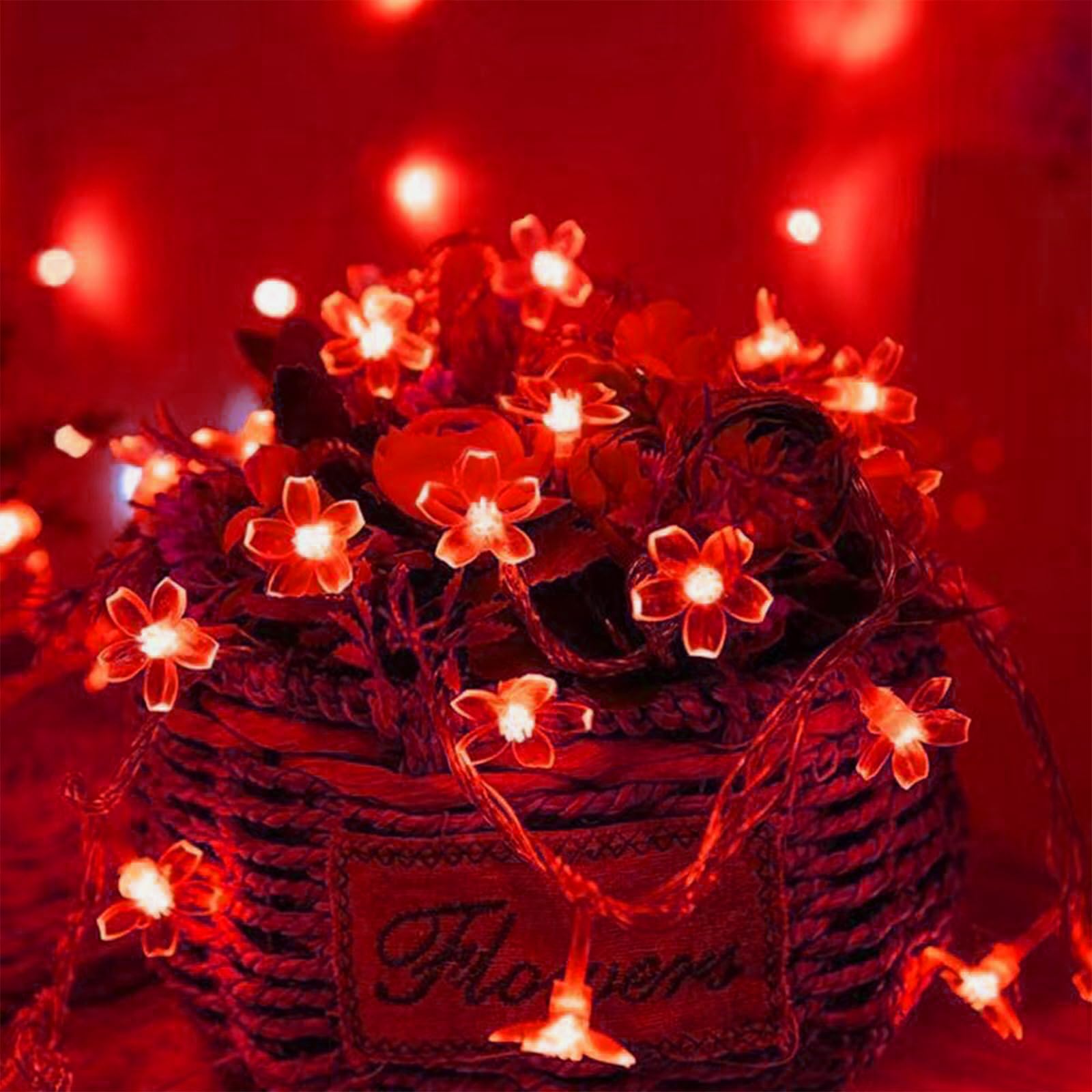 Battery Lighted & USB Plug in Fairy Flower String Lights, 9.8 ft 30 LED Cute Cherry Blossom Lights with Timer Indoor Bedroom Par