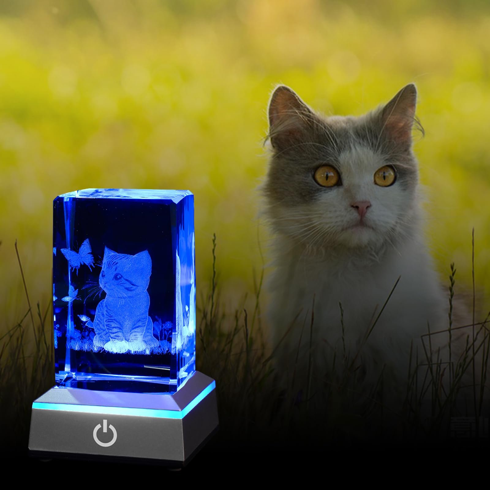 Eicxjui 3D Crystal Night Light With Multicolor Led Base Glass Laser Engraved Cat Figurine Gift For Women Cat Lovers Birthday Chr