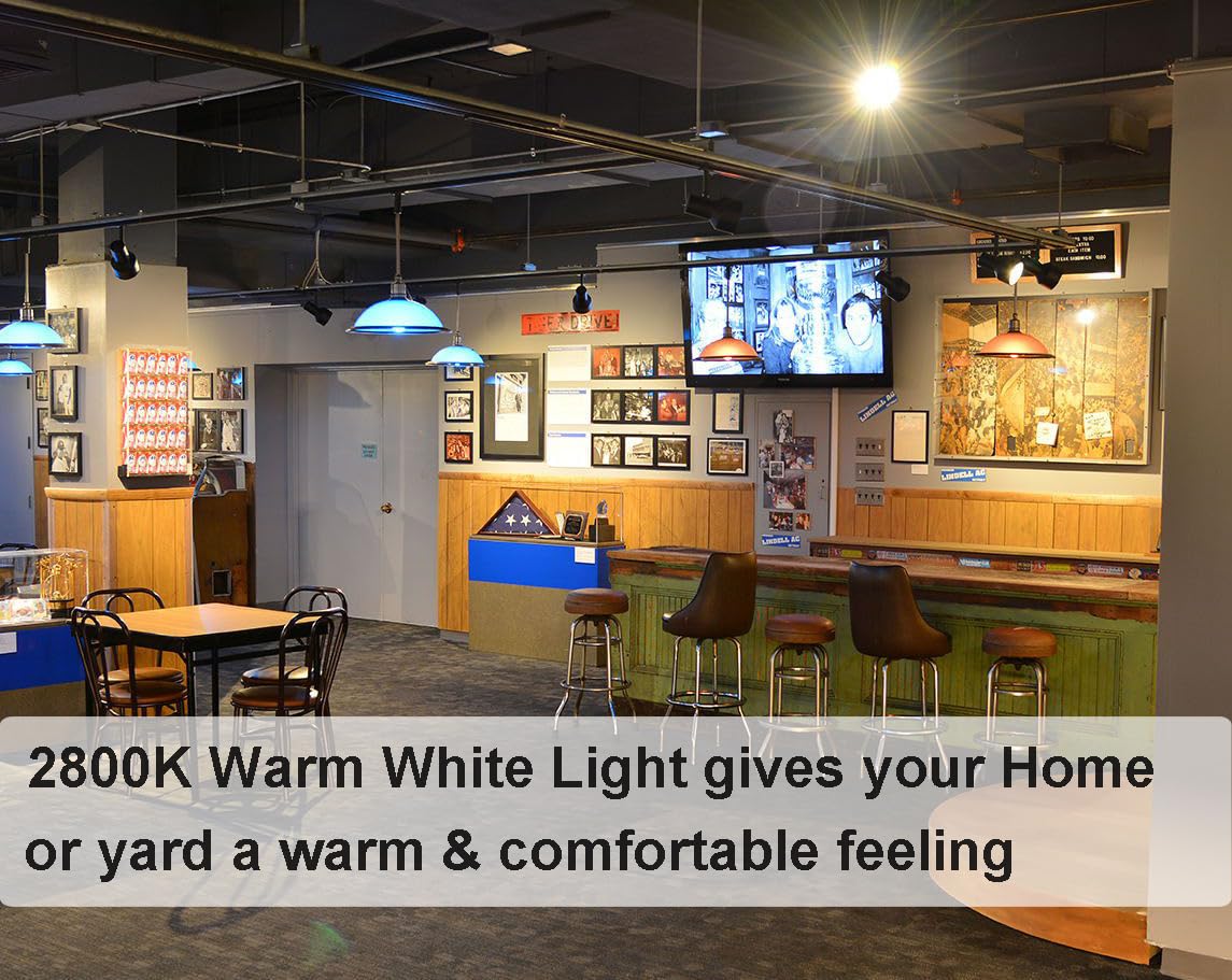 Vinaco PAR30 Long Neck Halogen Bulbs, 75W 120V, Dimmable, 1100LM, 6-Pack, Warm White 2800K, Glass